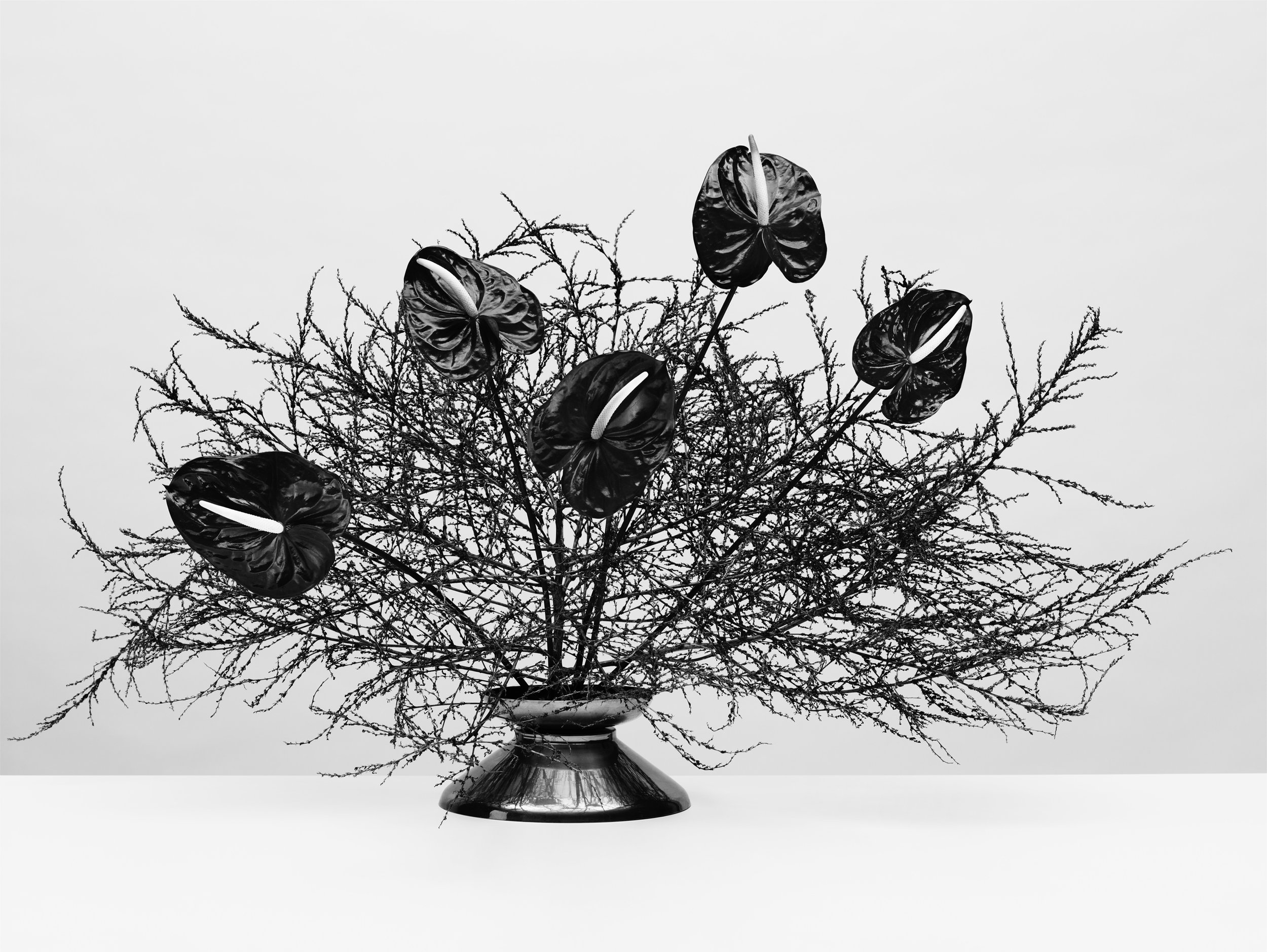 Nicholas Alan Cope Photography