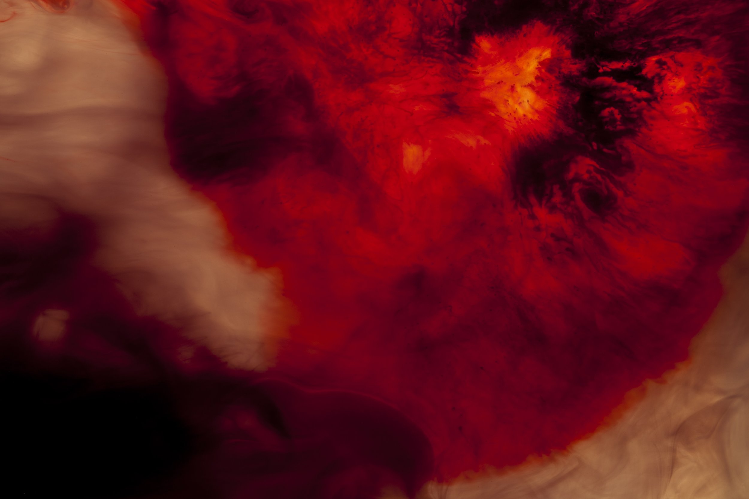 Nicholas Alan Cope Photography