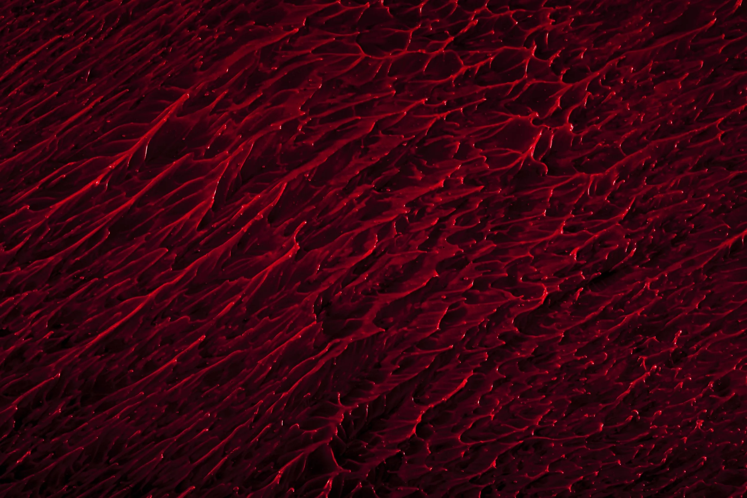 Nicholas Alan Cope Photography