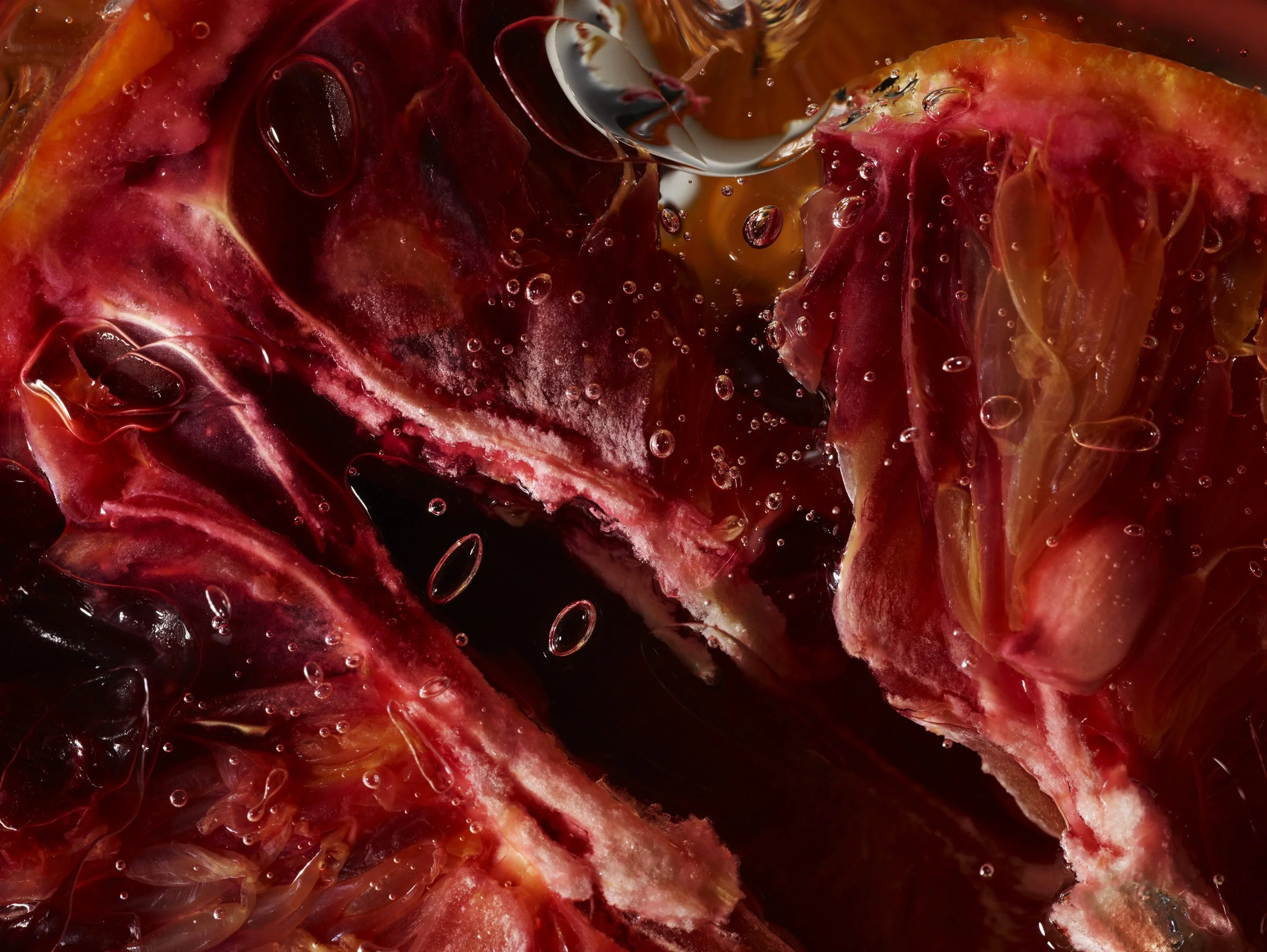 Nicholas Alan Cope Photography