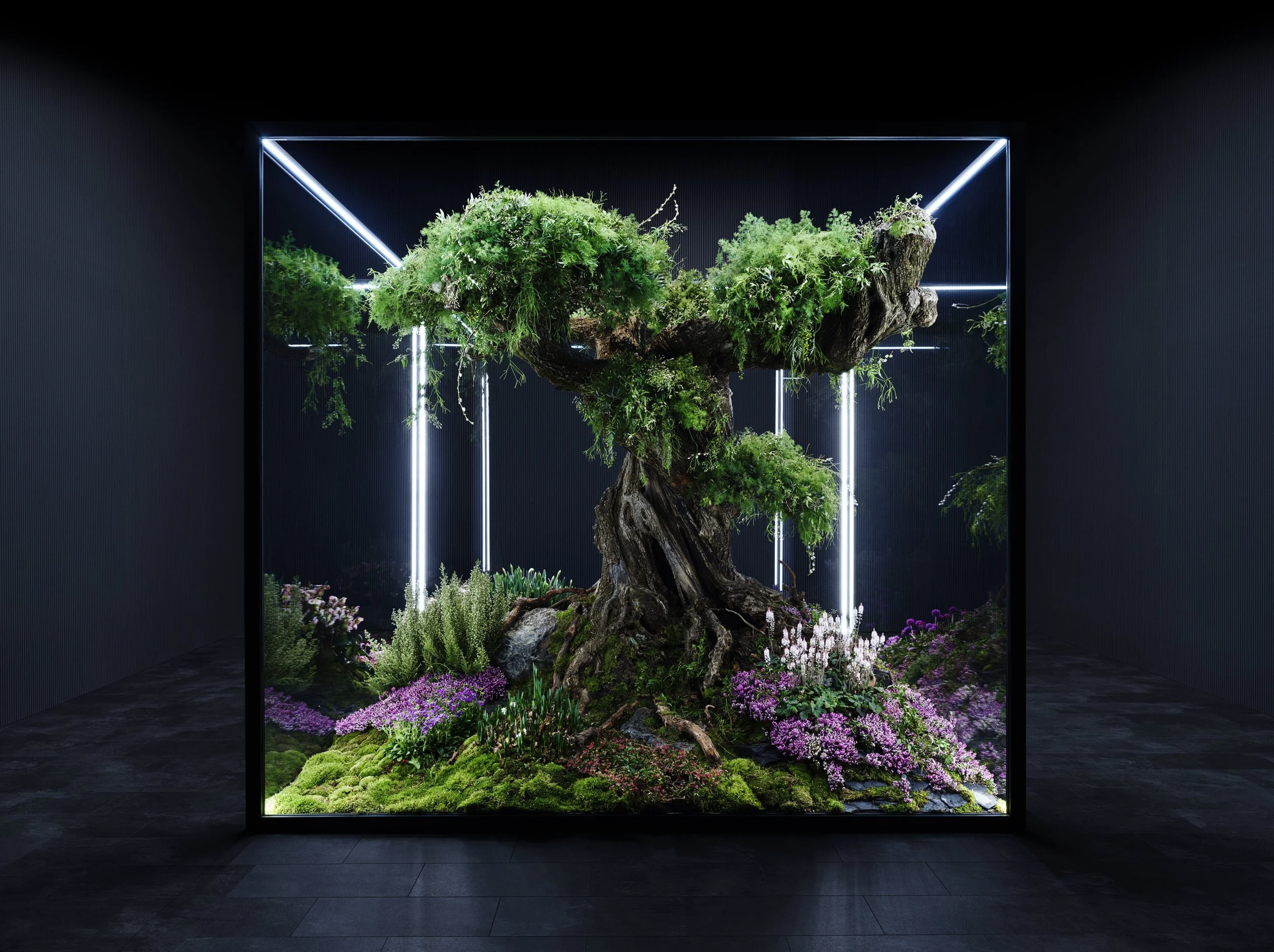 Nicholas Alan Cope Photography