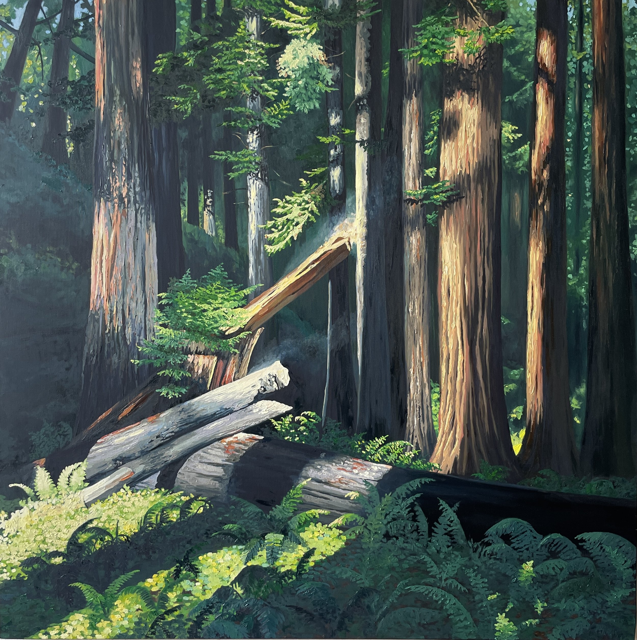 Cathedral Grove