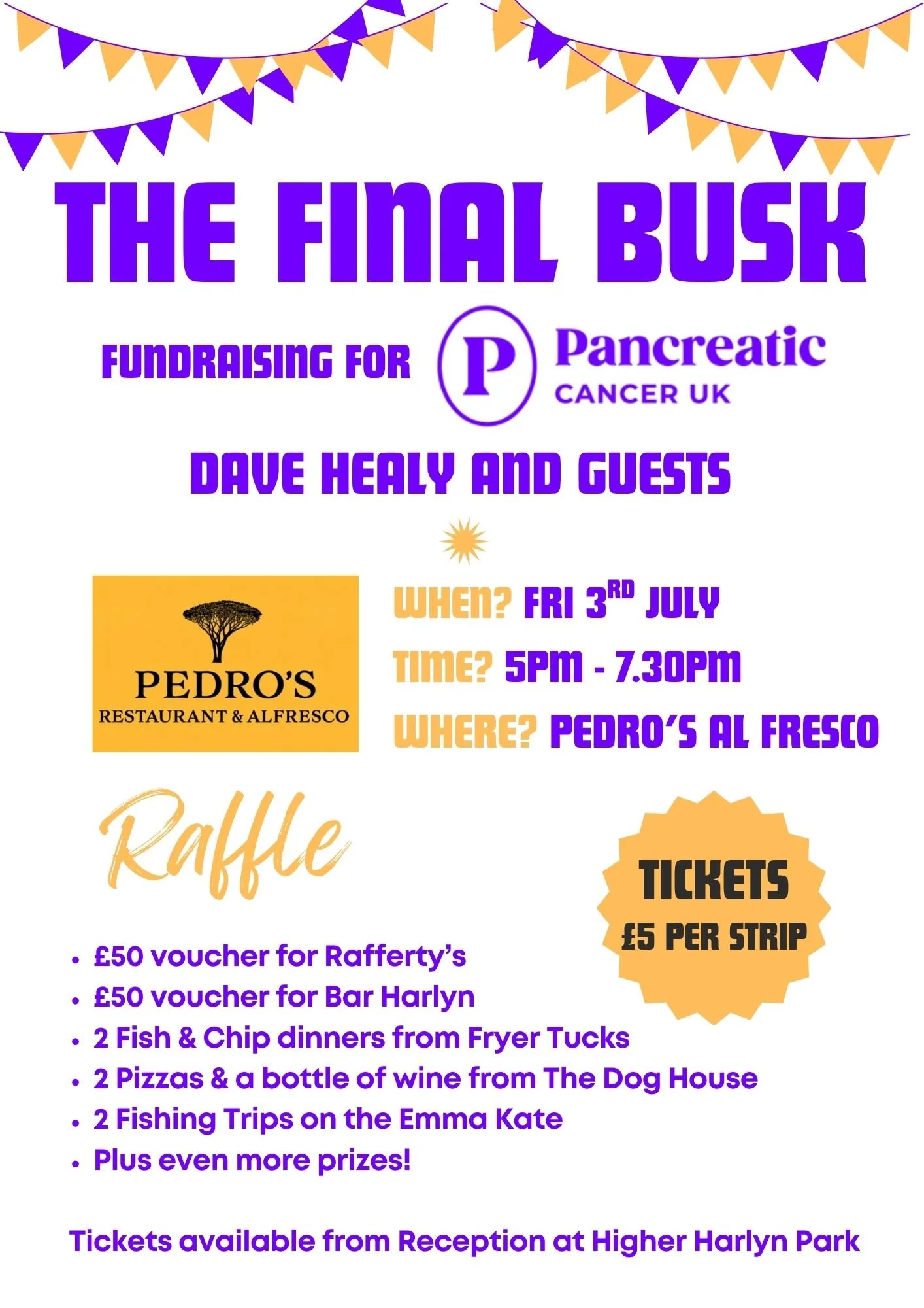 The Final Busk with Dave Healy