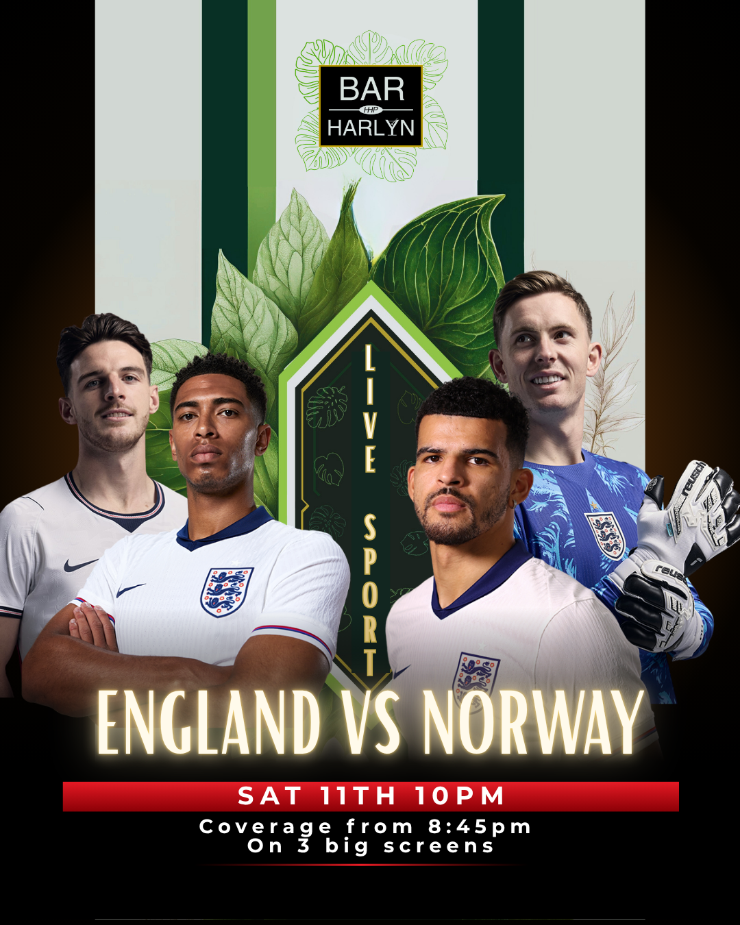 England vs. Norway - World Cup quarter-final