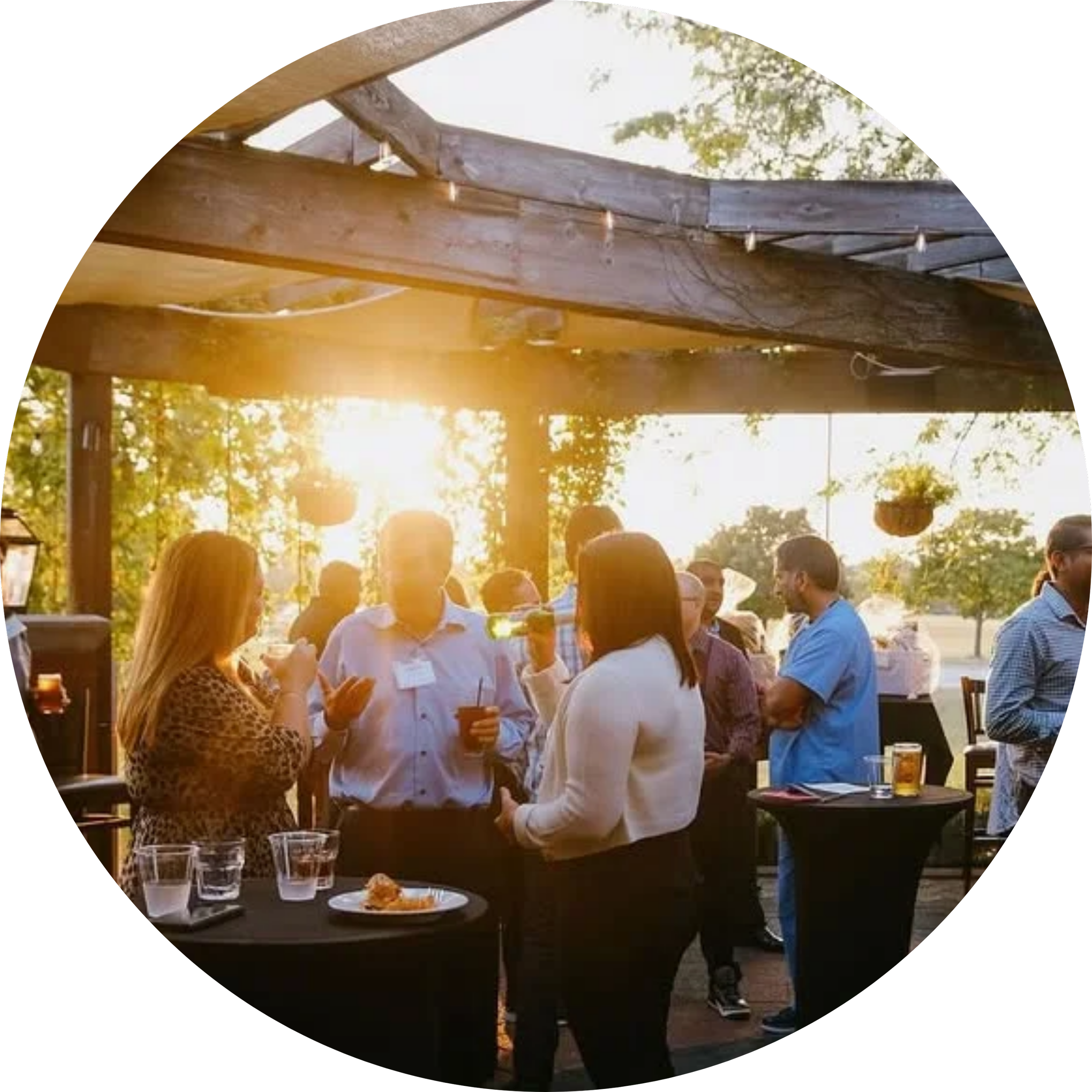 Guests gathering at a sunlit outdoor event.