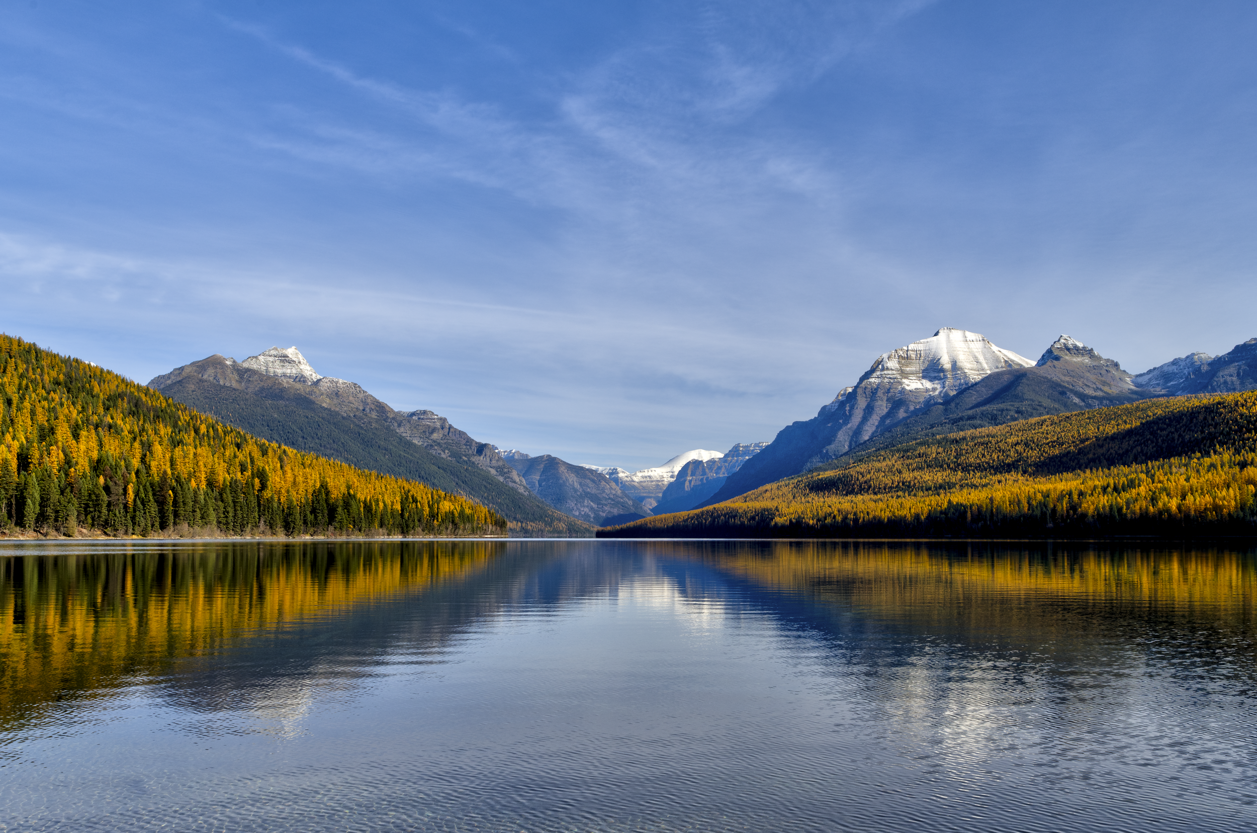 2026 Bowman 4000.png