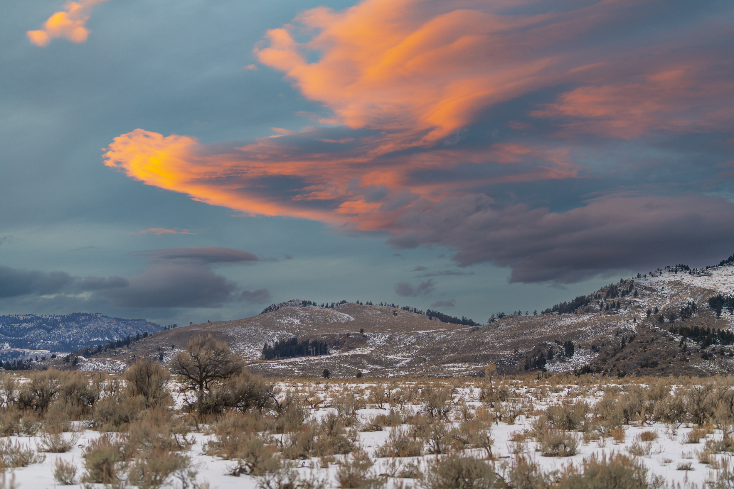 2026 Yellowstone Mood 3000.png