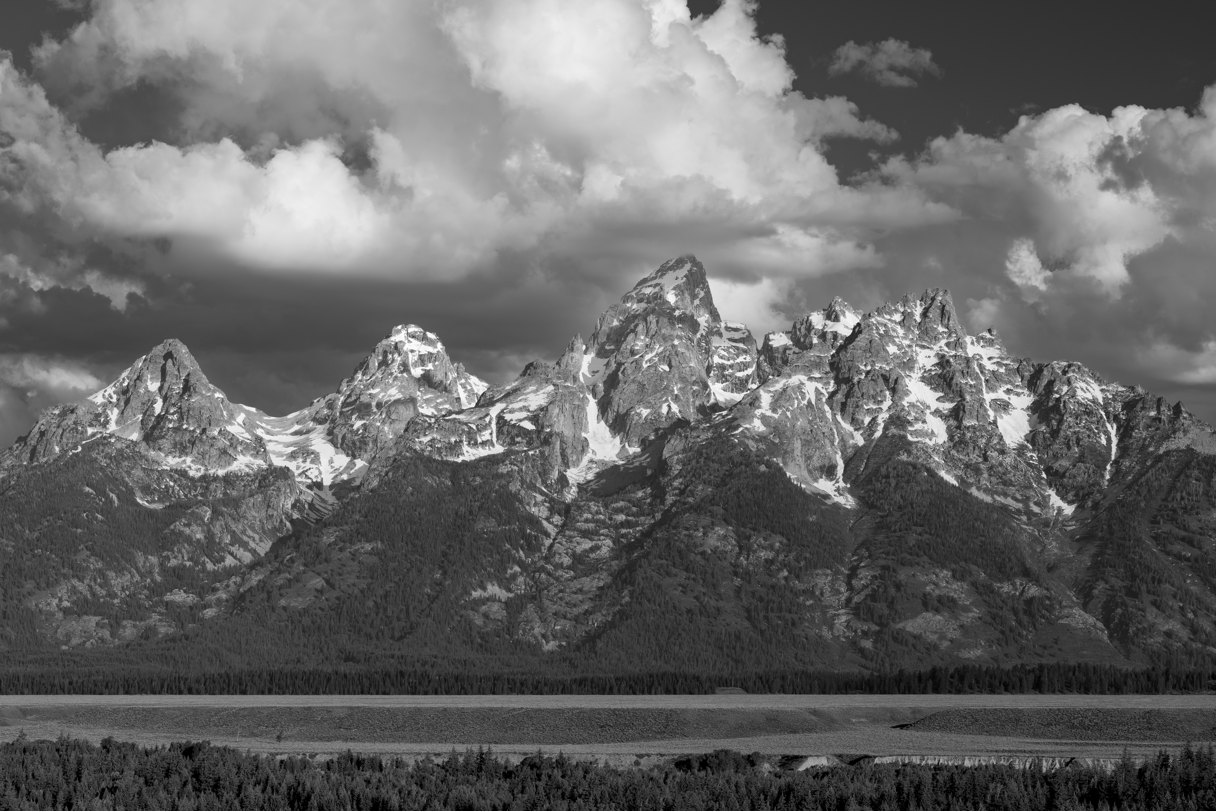 2025 Four Peaks 1355 4000.png