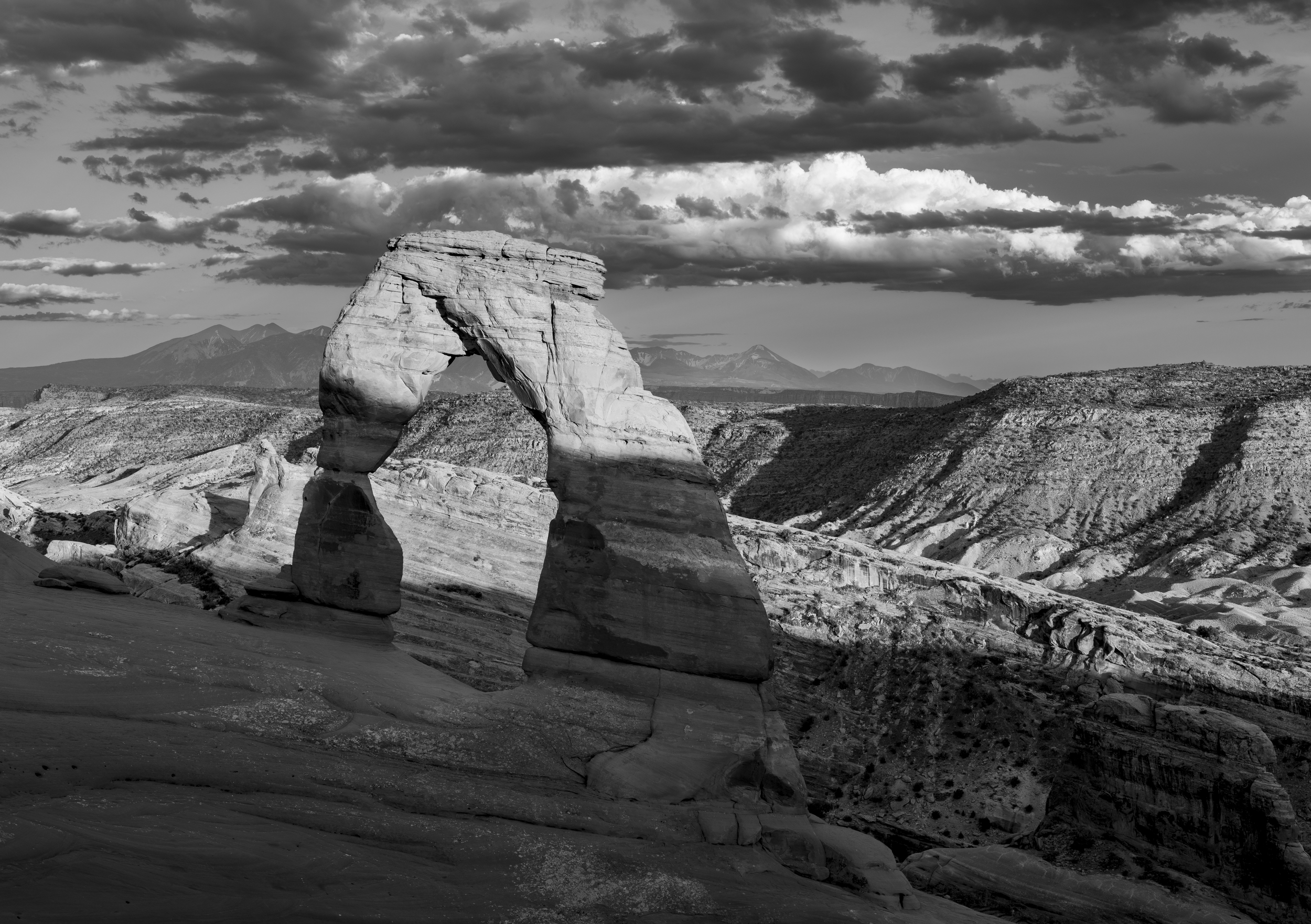 2025 Delicate 4000.png