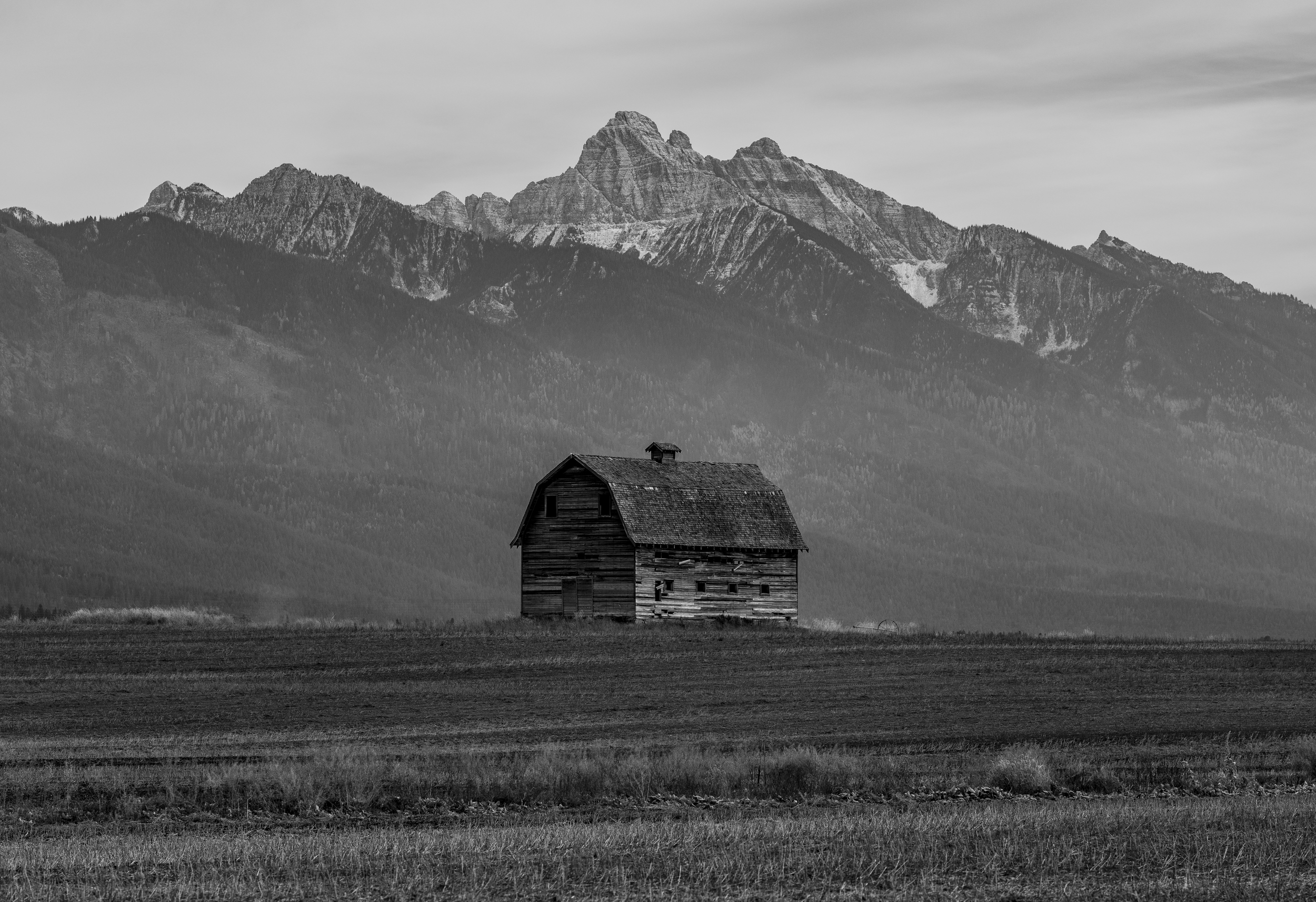 2025 Montana 4000.png