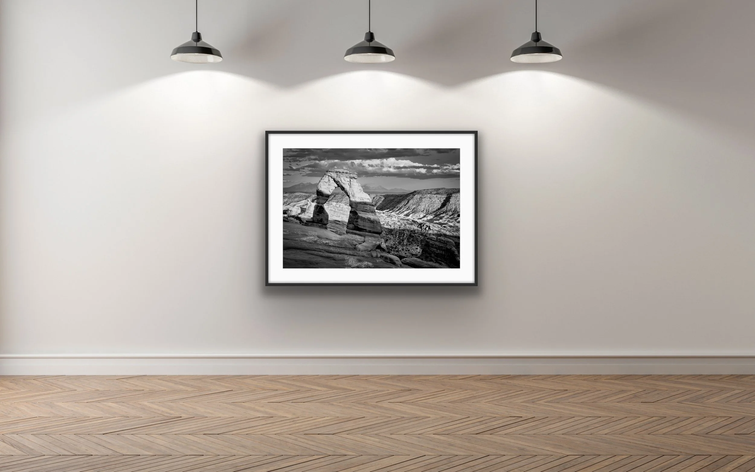 Delicate BW 4000.jpg