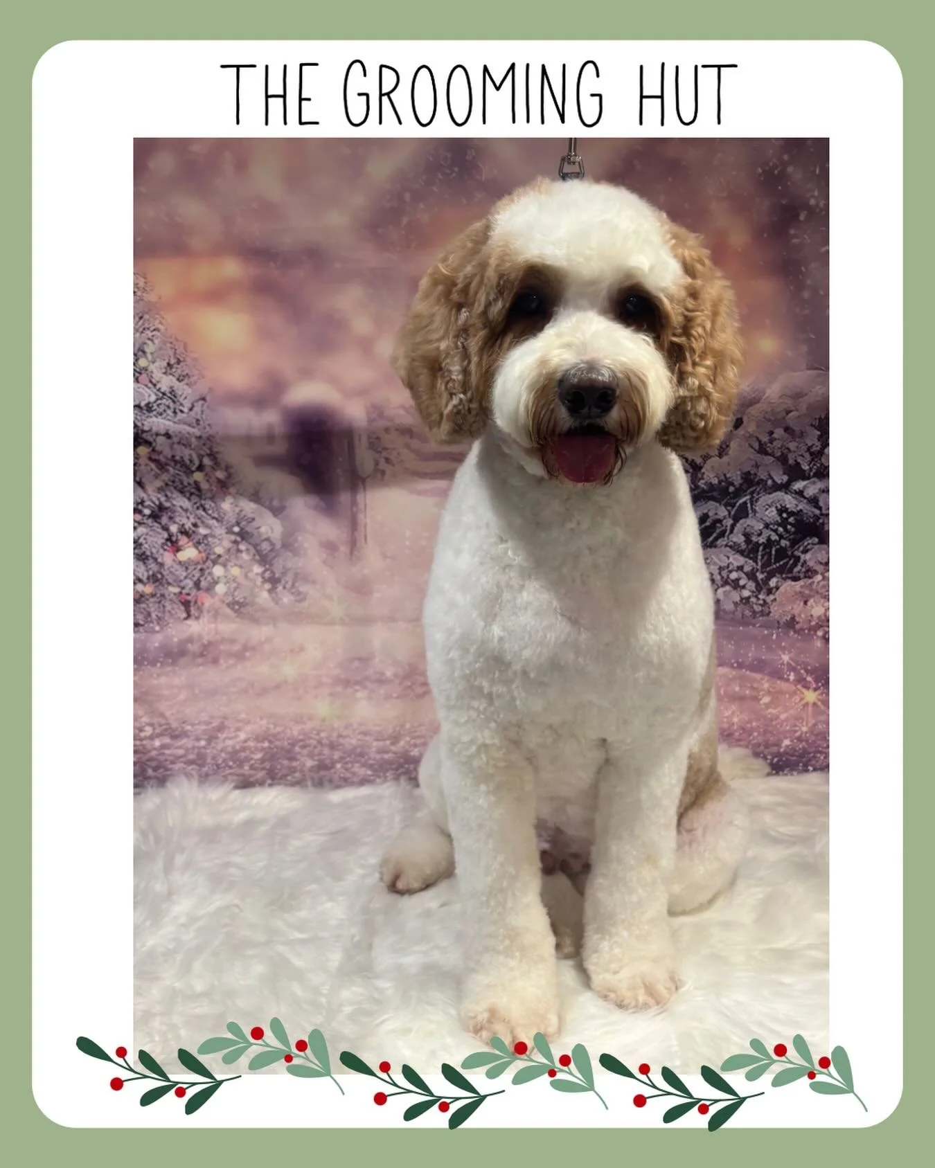 The Handsome @rafa_the_labradoodle 

#labradoodle #labradoodlegrooming #northlondondogs #doggrooming