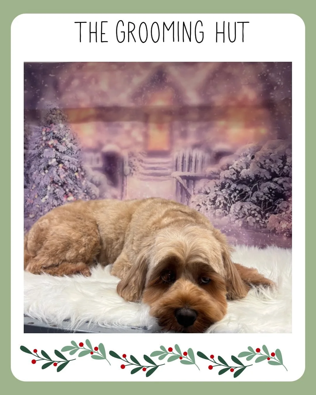 The Grooming Hut is now closed for Christmas 🎄
Wishing all my lovely customers and everyone a very Merry Christmas