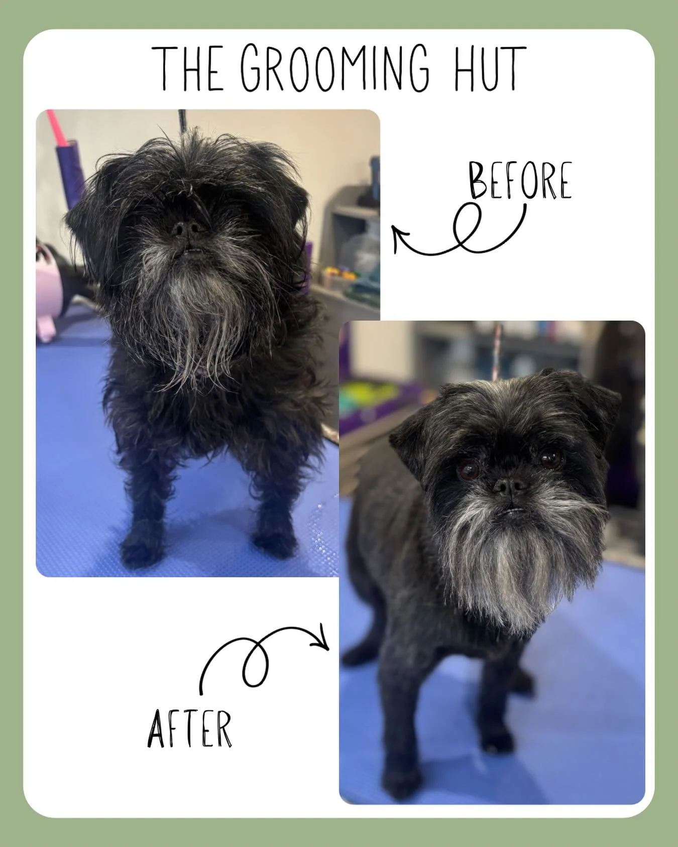 What a difference a haircut can make 

#affenpinscher #northlondondogs #doggrooming #doggroomer