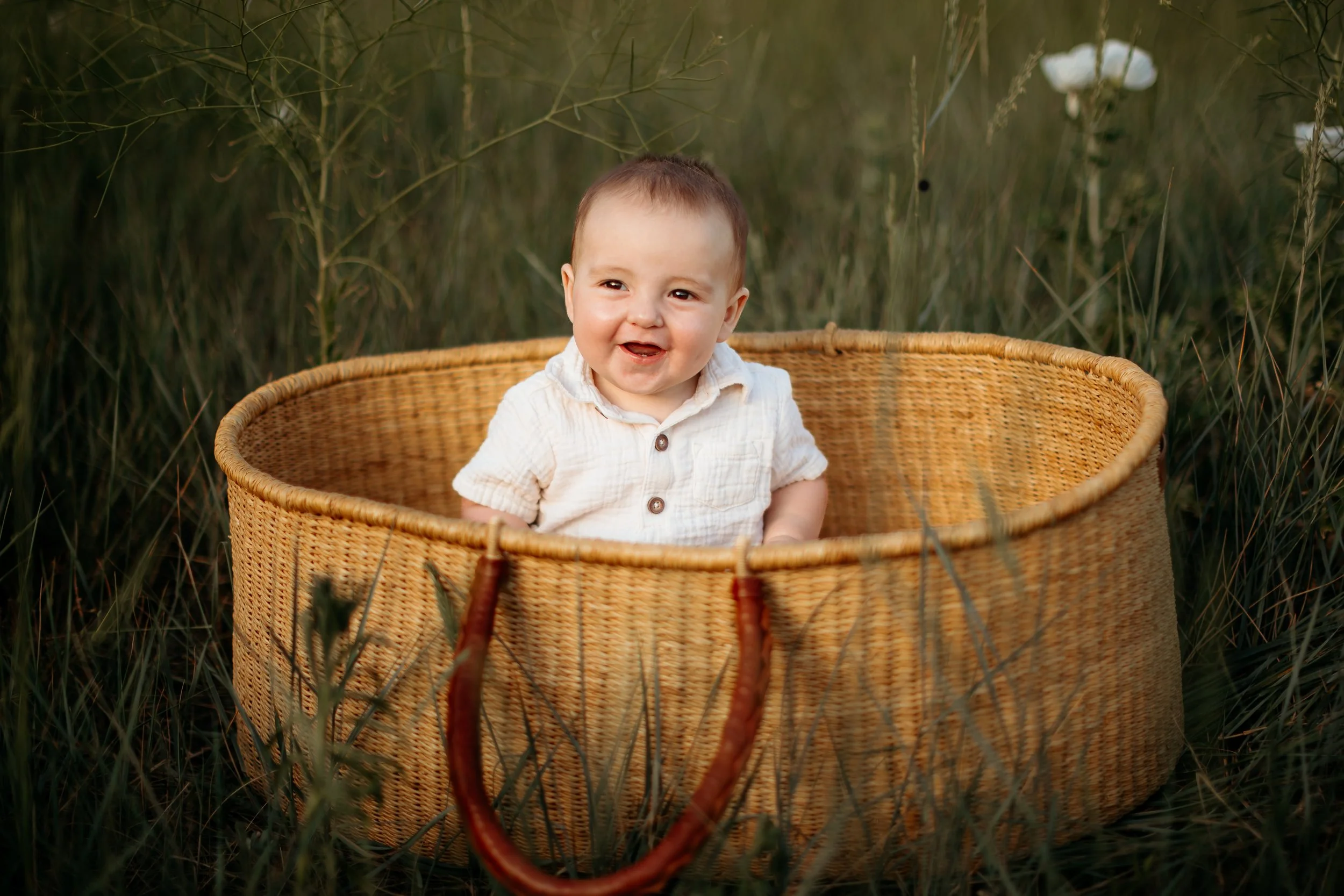 outdoor baby photography moses basket famly photographer