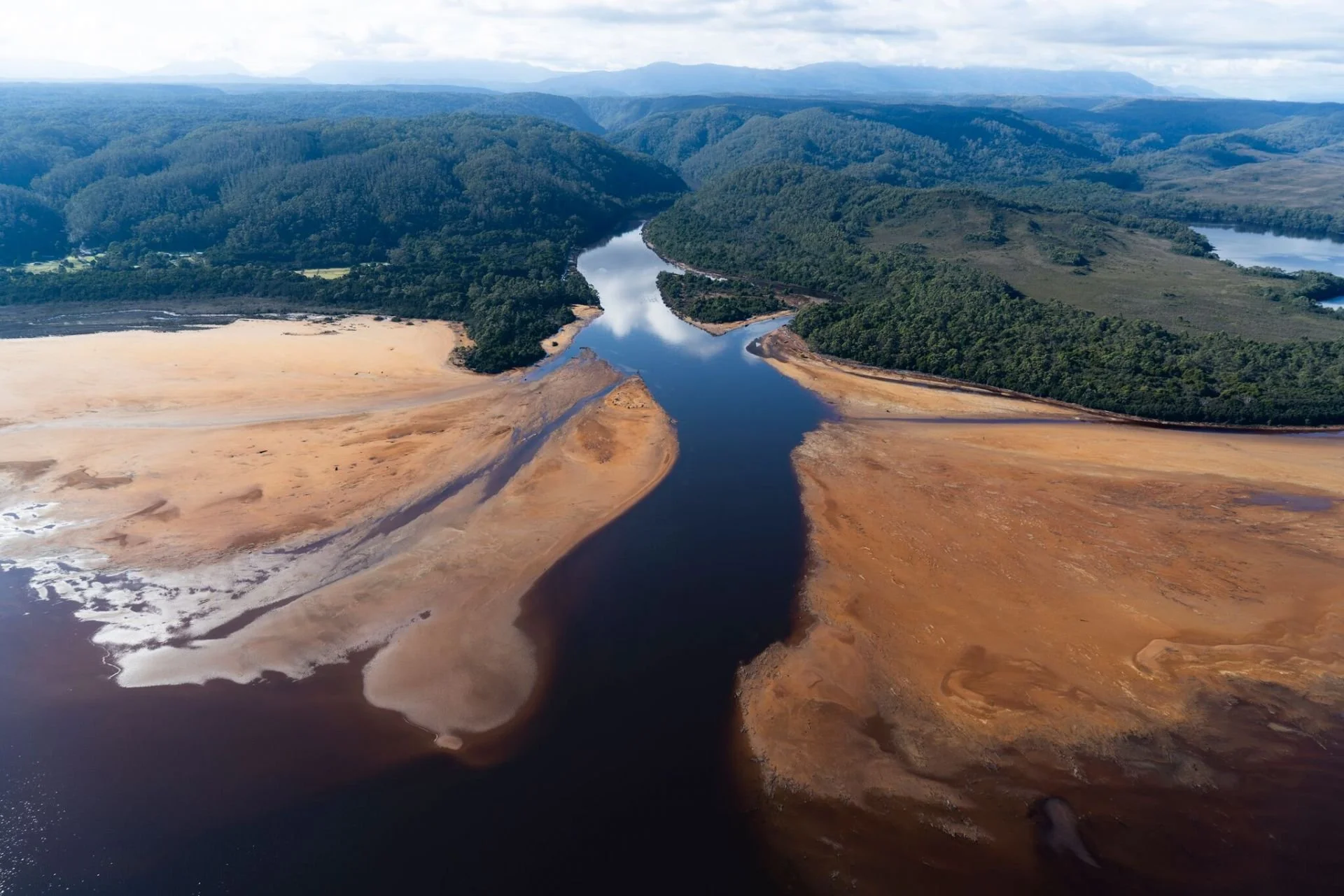 Case Study—King River Delta