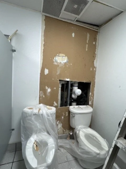 IMG_9246 Medium.jpeg