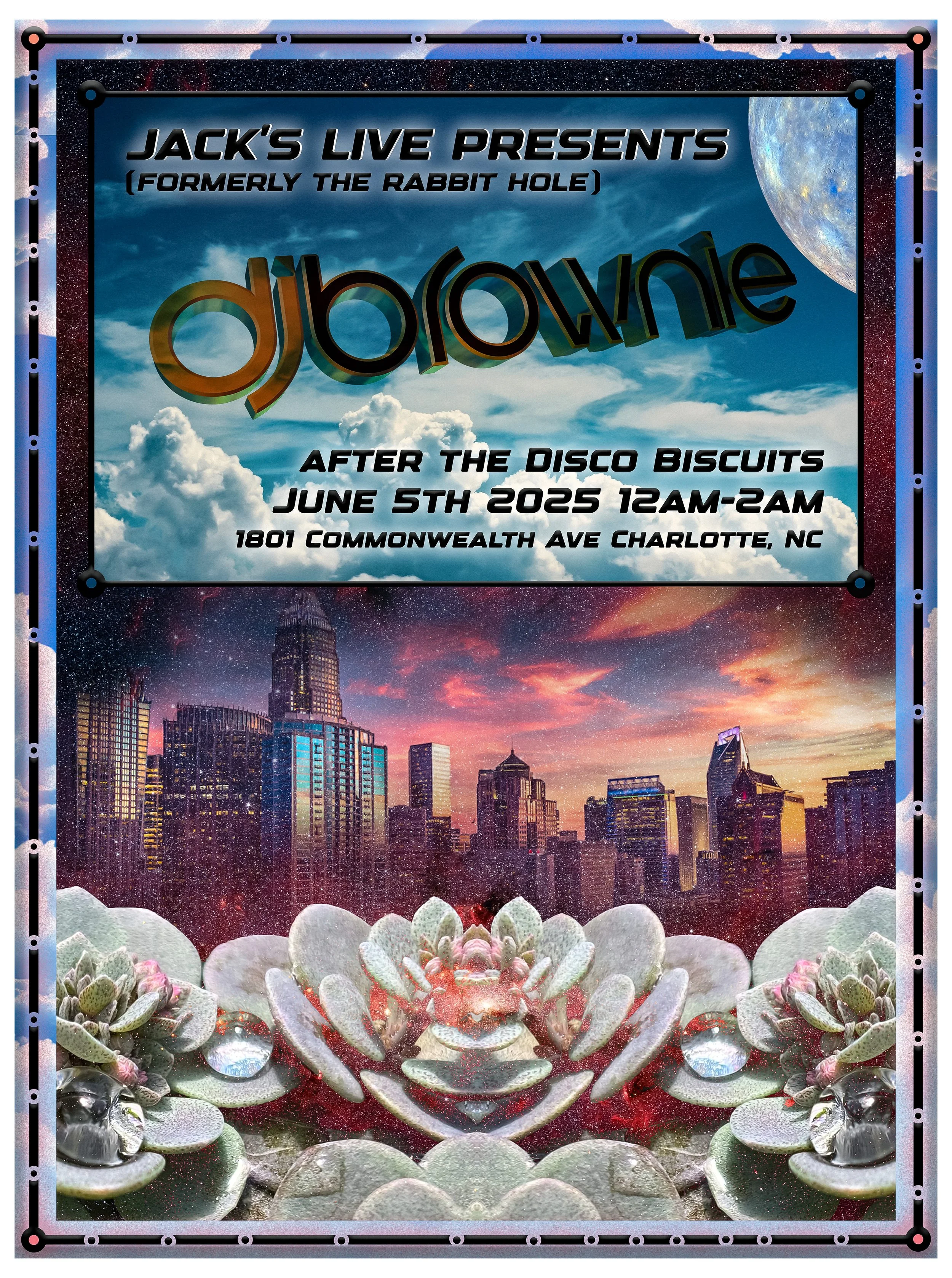 DJ Brownie (AFTER THE DISCO Biscuits)