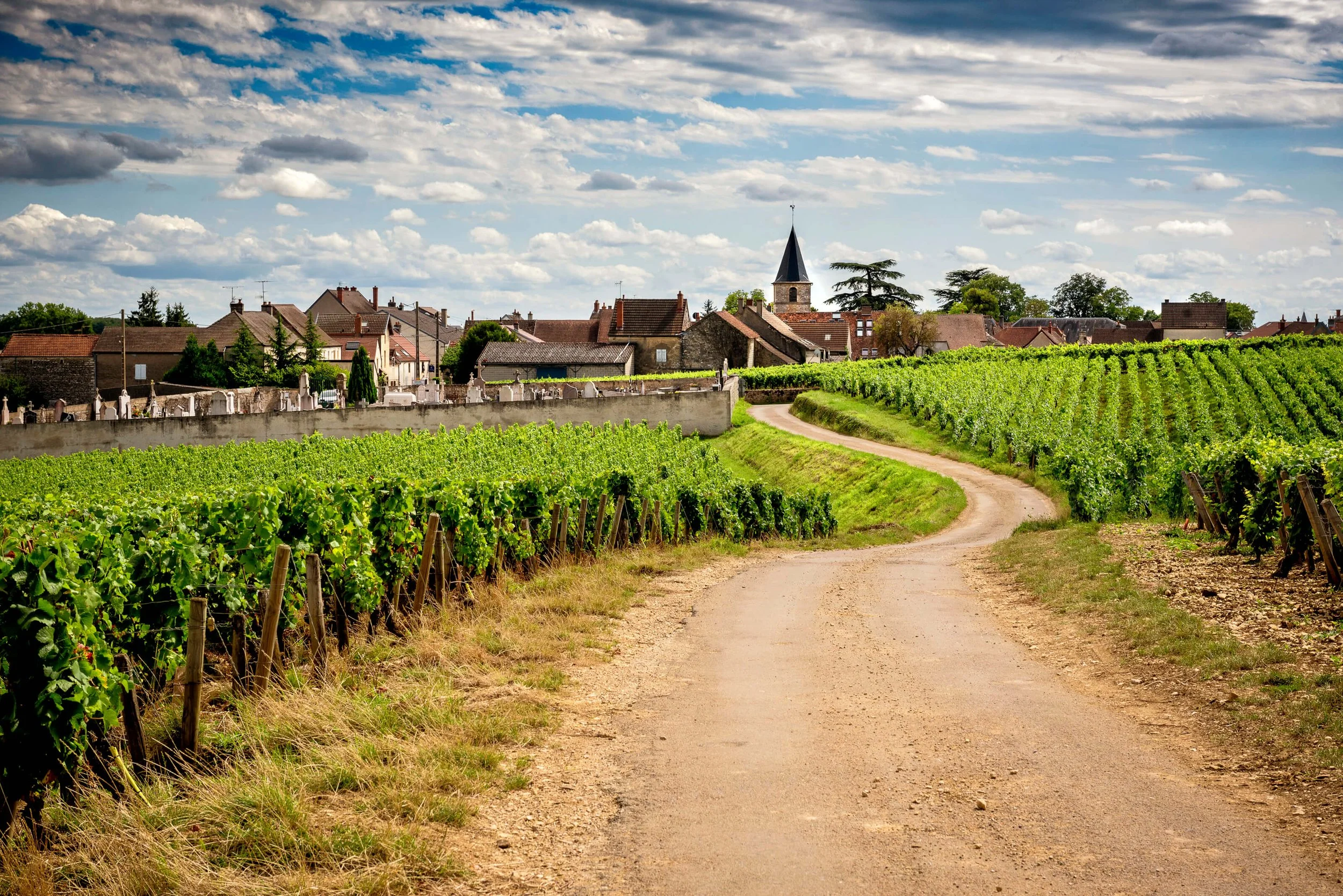 iStock-1127289822.jpg