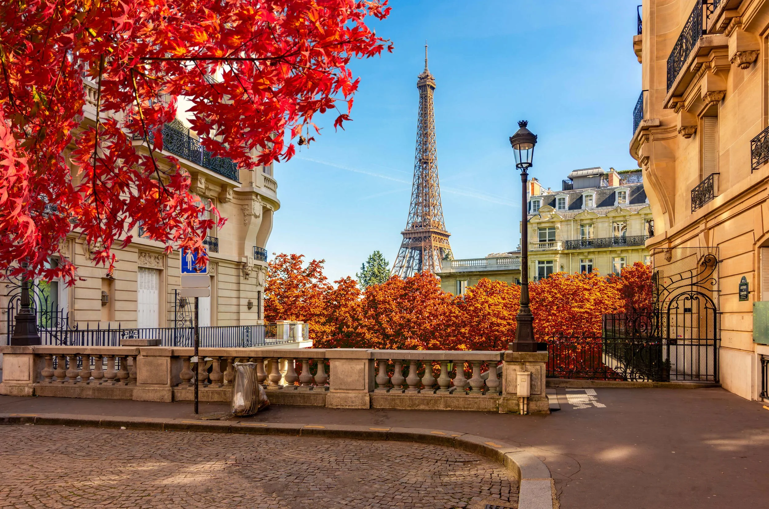 iStock-2237821808.jpg
