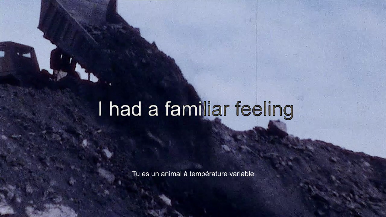 vlcsnap-2023-02-07-14h21m41s396.png