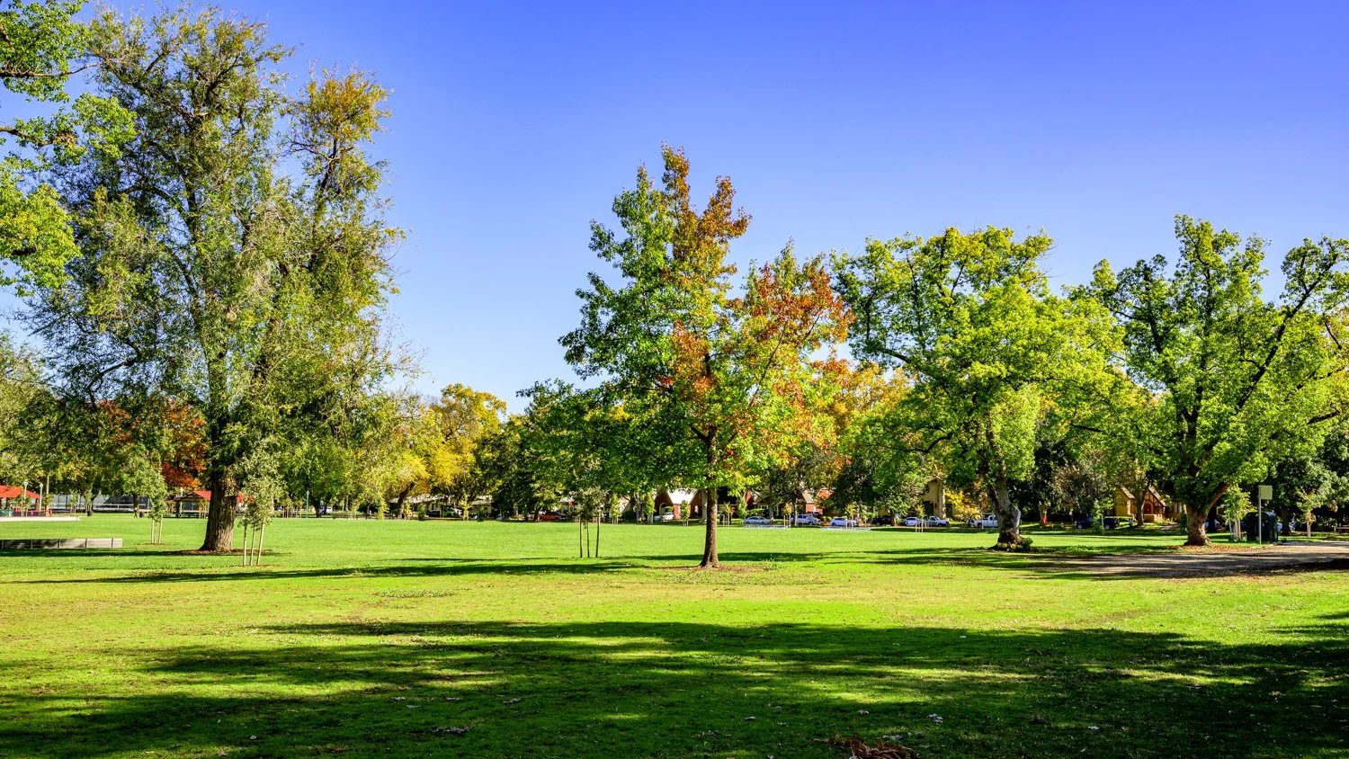 Delta Shores Park Conversations