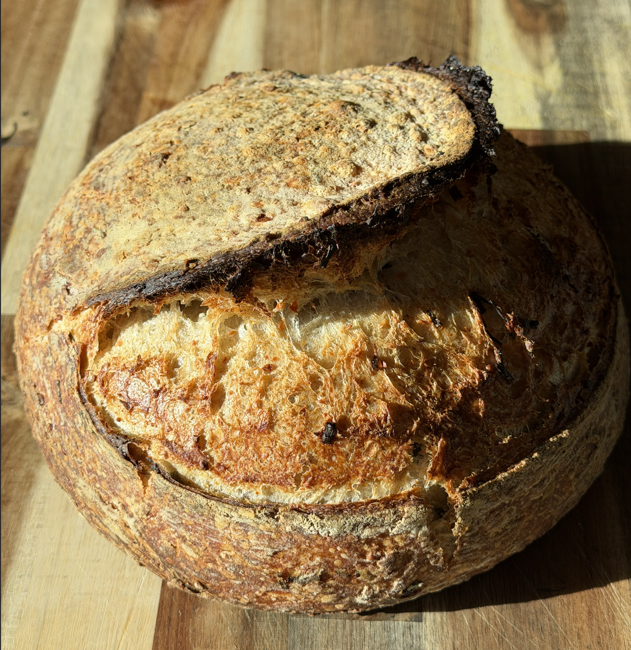 Screenshot 2026-03-30 at 7.59.57 AM.png