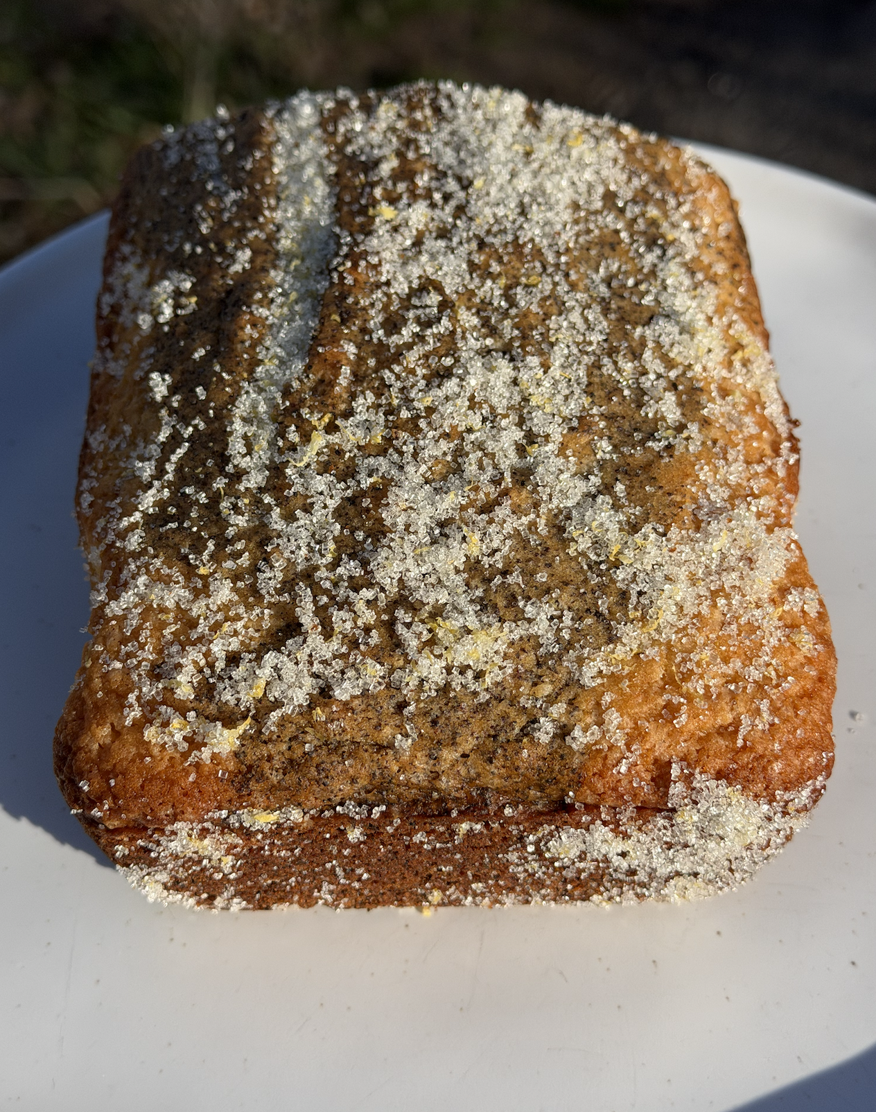 Screenshot 2026-03-30 at 8.22.49 AM.png