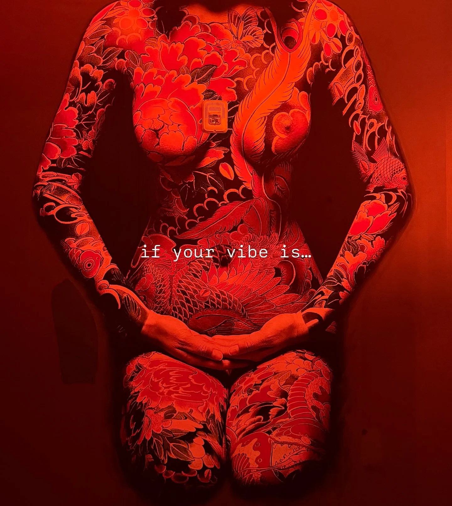 this is our vibe. link in bio.

Chika Omakase | The Creamery District | San Antonio Sushi

#SanAntokyo #SanAntonioSushi #TheCreameryDistrict #SanAntonioOmakase