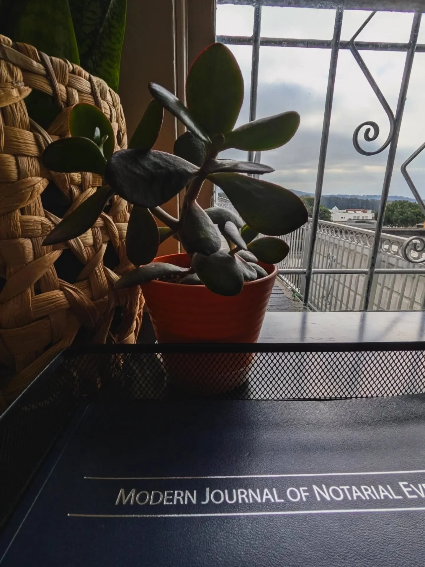 In-office notary services &mdash; your signature, my stamp, done right! 

#notarypublic #service #sunset #sanfrancisco  #smallbusiness