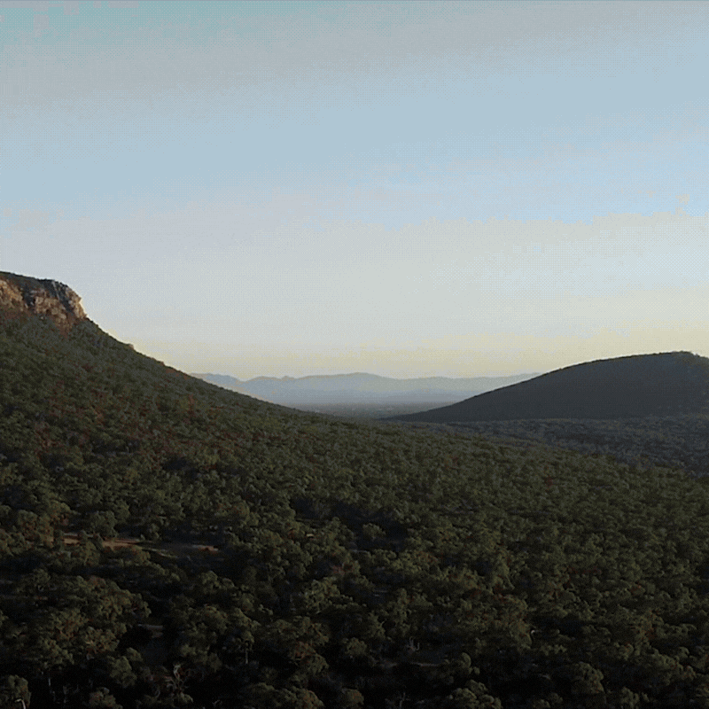 A scenic view of rolling green hills and mountains under a clear blue sky at sunset.