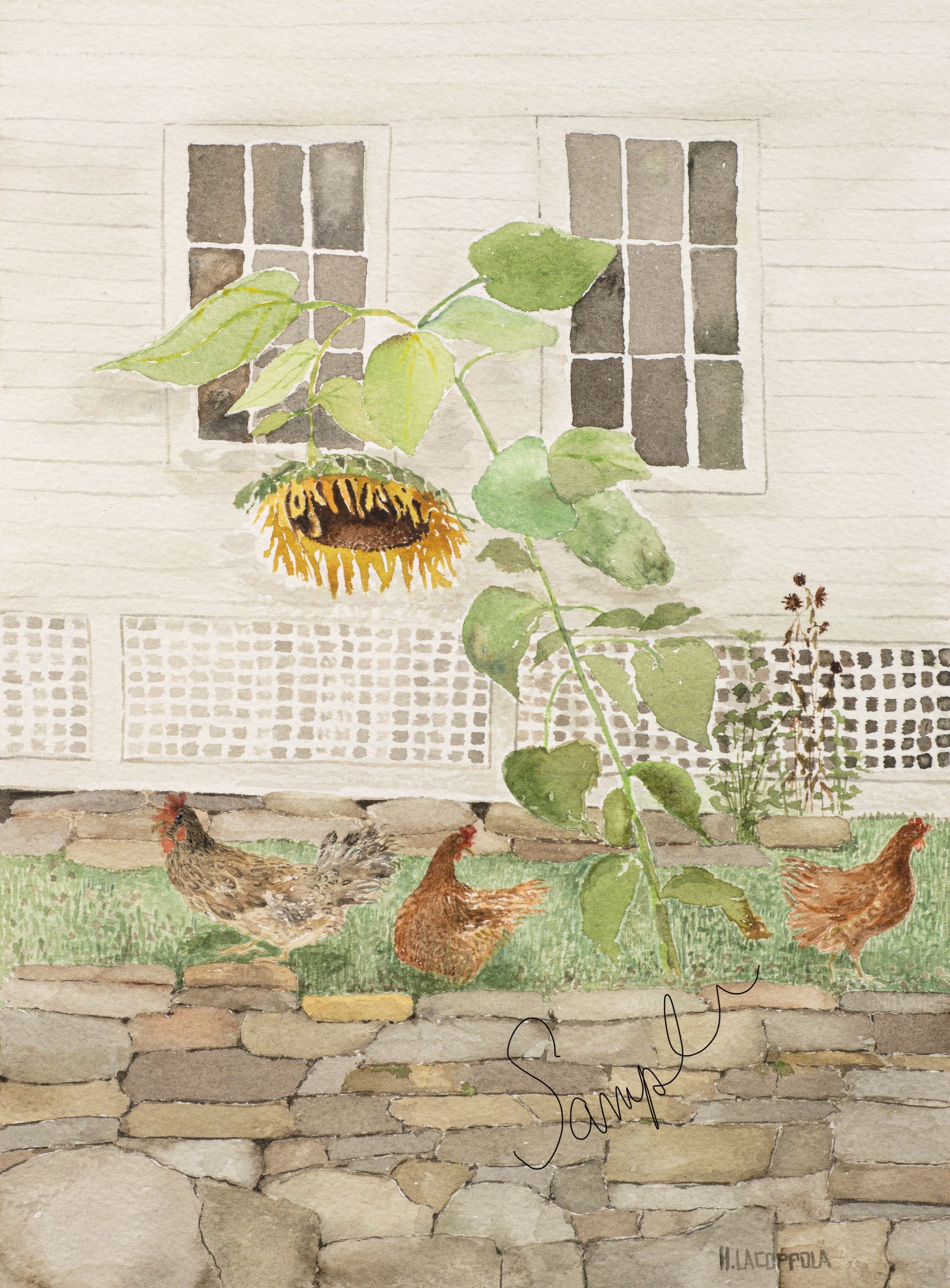 Hens and Sunflowers Print