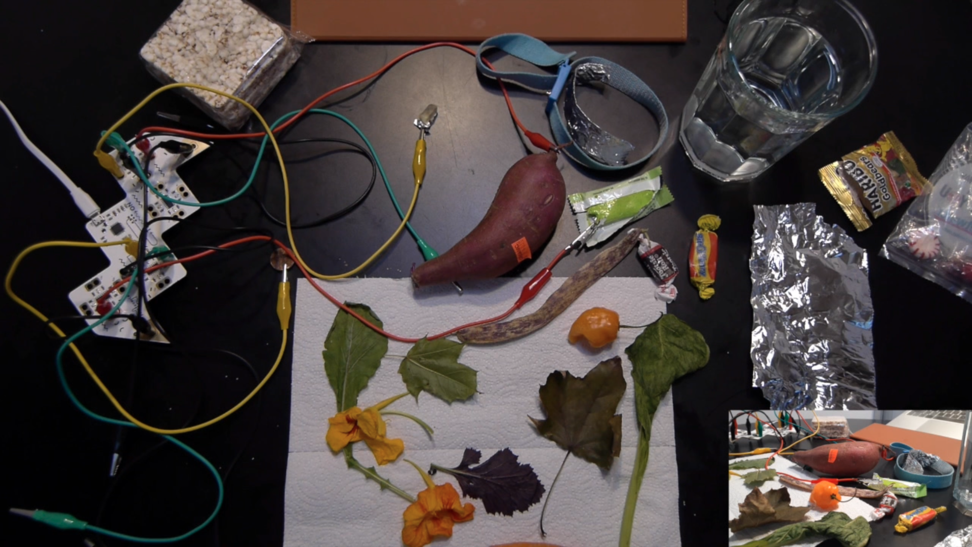 UofC Matinee Science Lab Pic.png