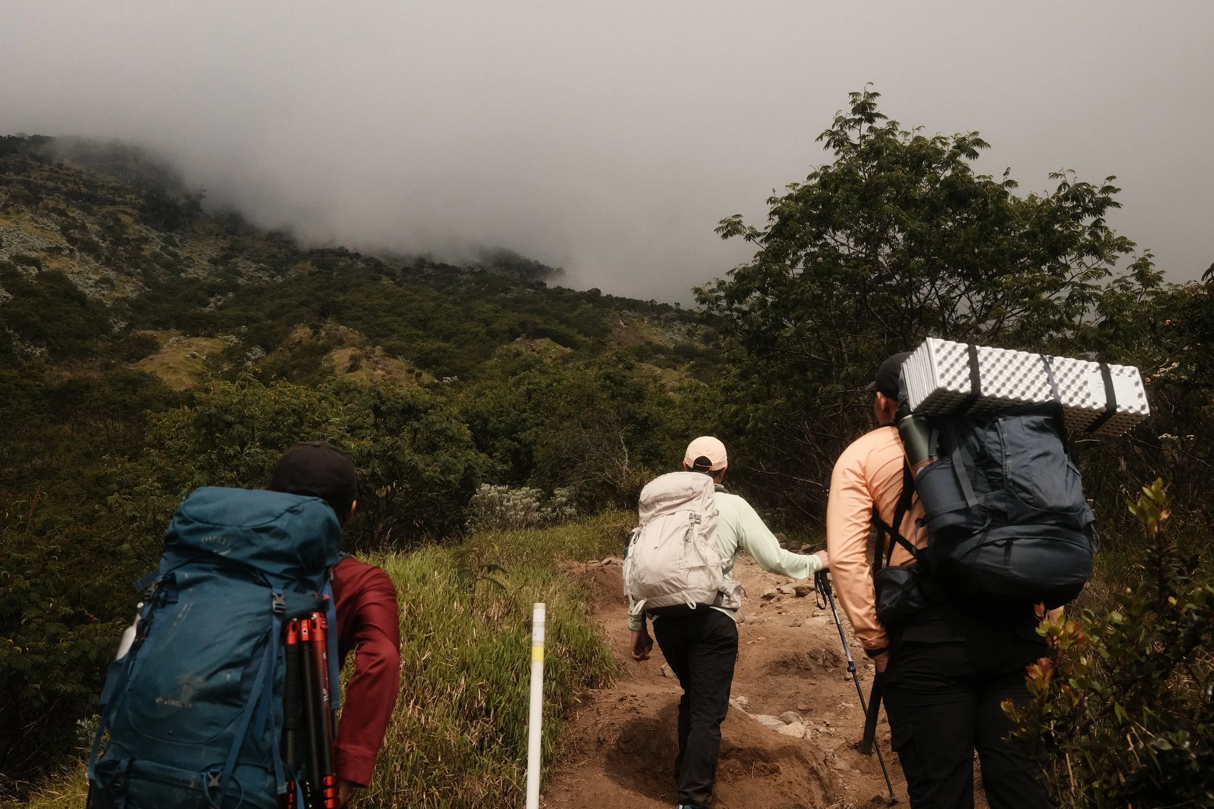 A group of hikers trekking on a trail in a mountainous area with fog and dense greenery, carrying backpacks and walking poles.