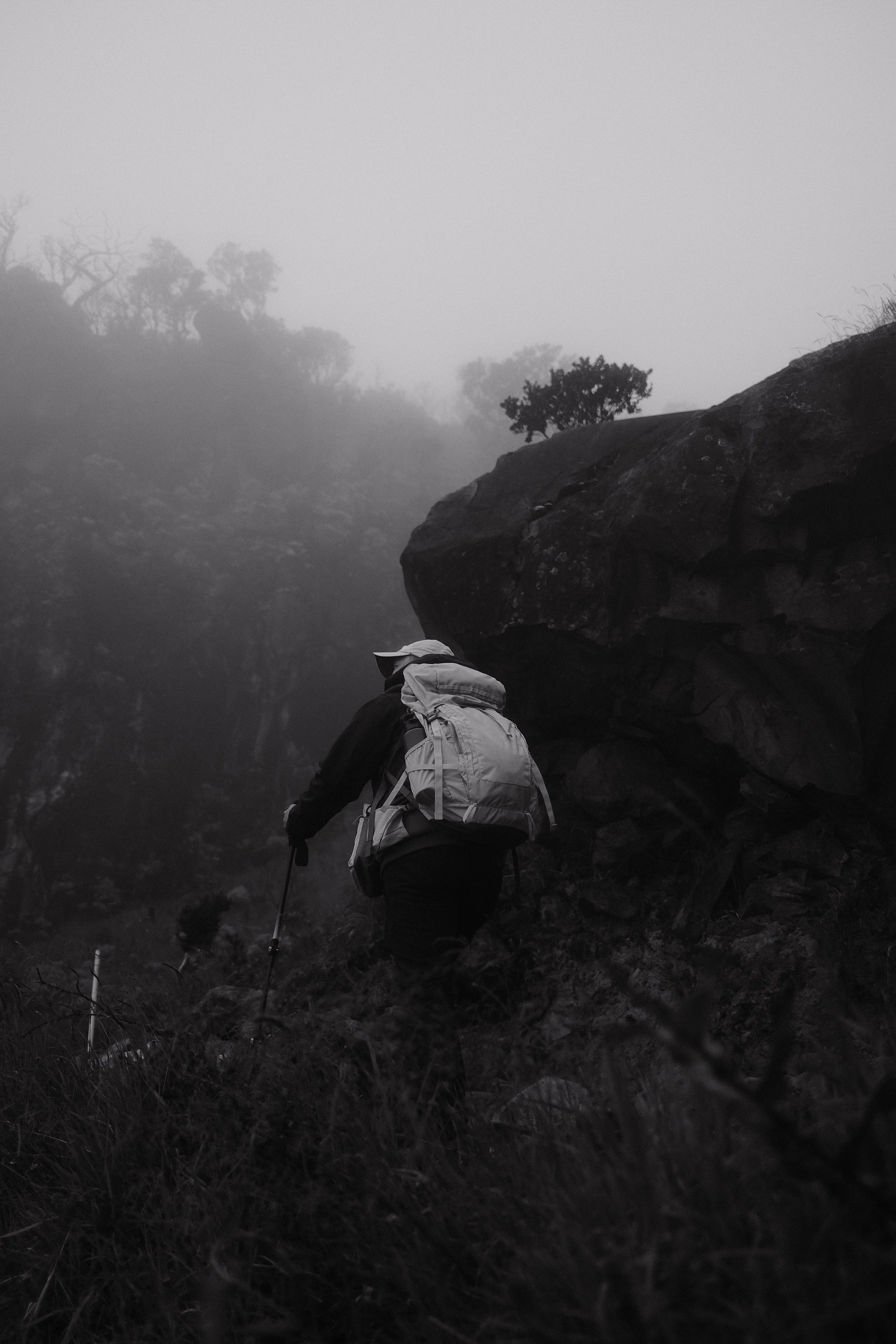 A person with a backpack hiking in a foggy, mountainous forest at dusk, using a walking stick.