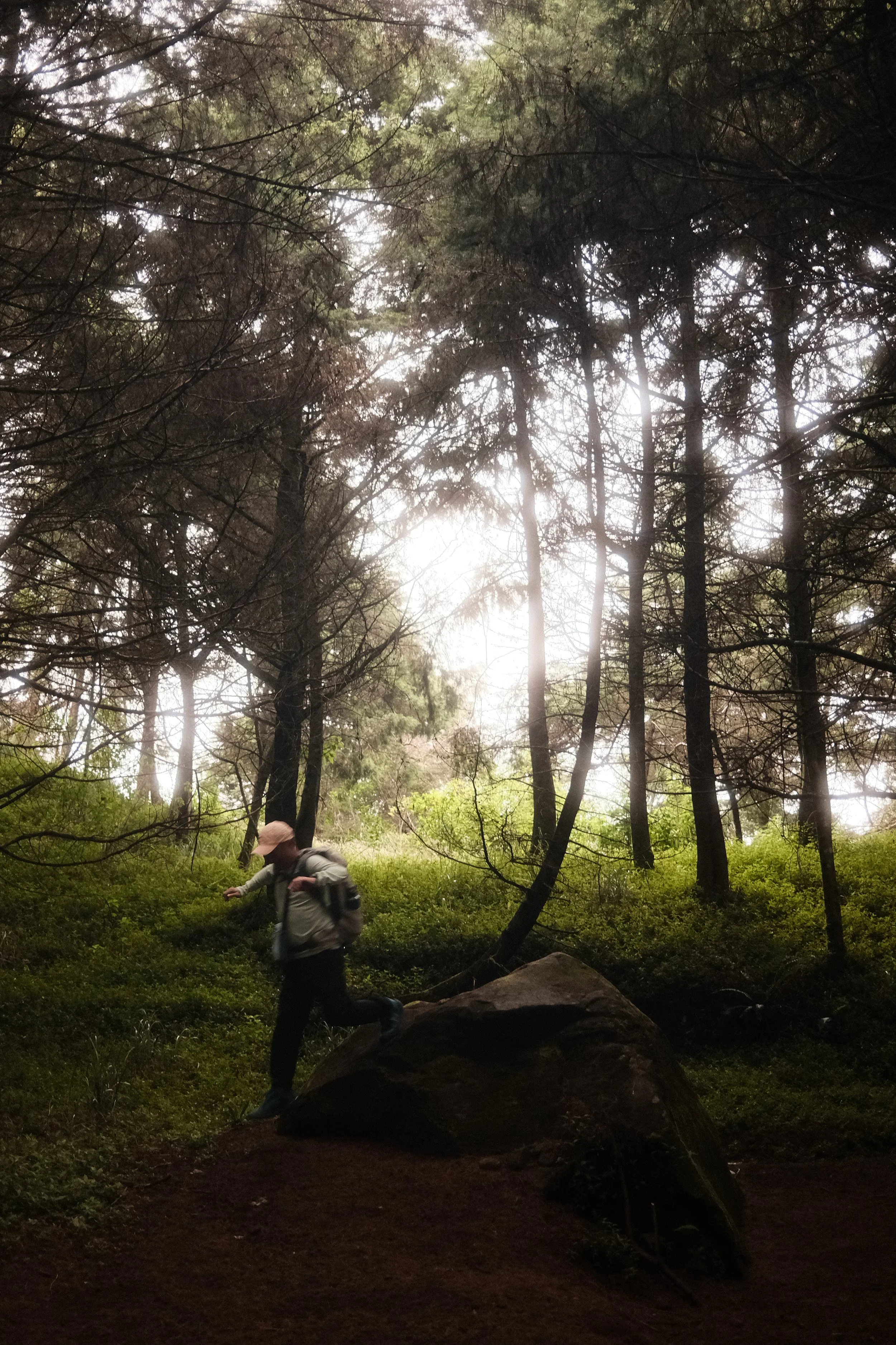 A person wearing a hat, jacket, and backpack is running or climbing over a large rock in a lush, green forest with tall trees and sunlight filtering through the foliage.
