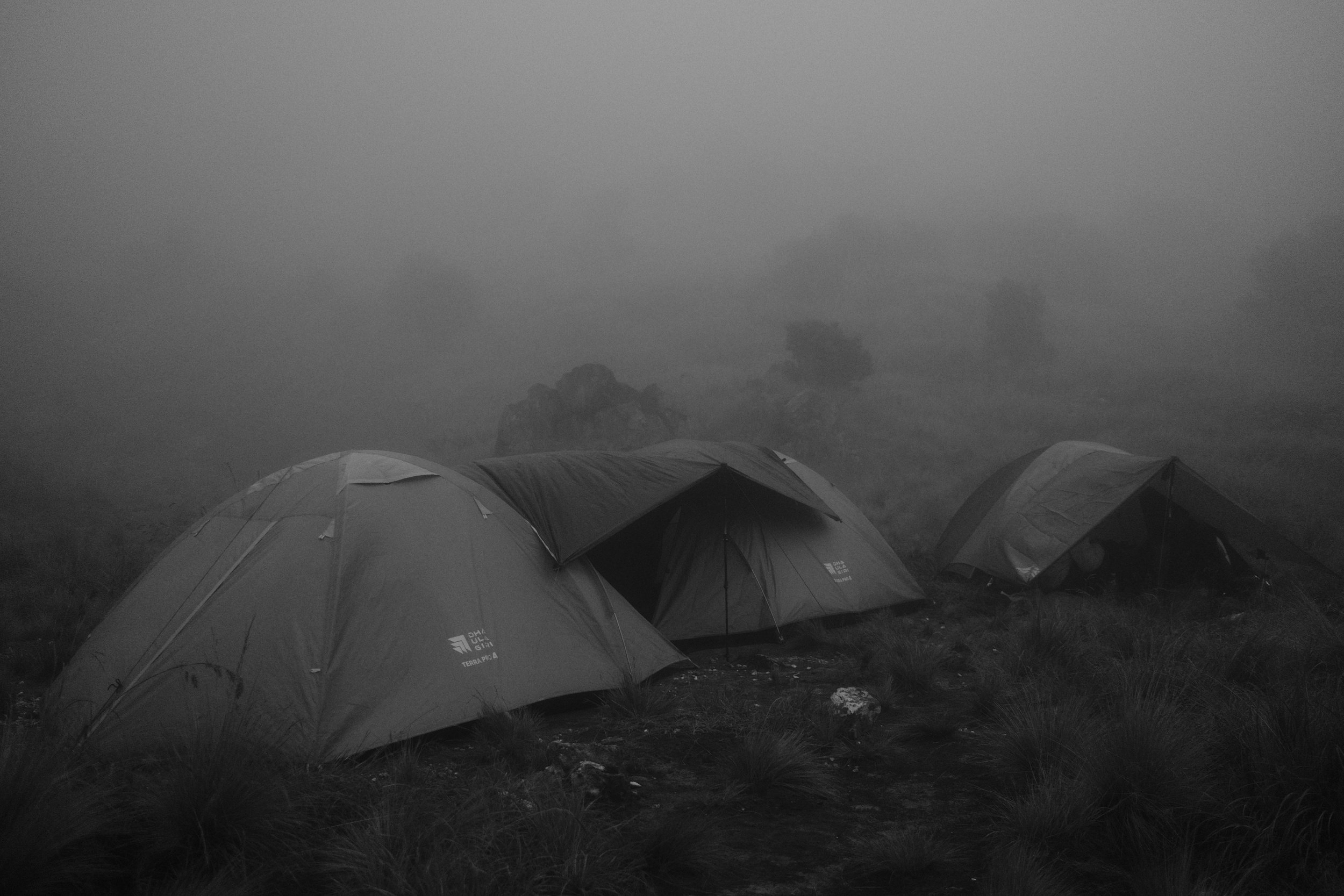 A row of tents set up outdoors on a grassy area during foggy weather, with fog obscuring the background.