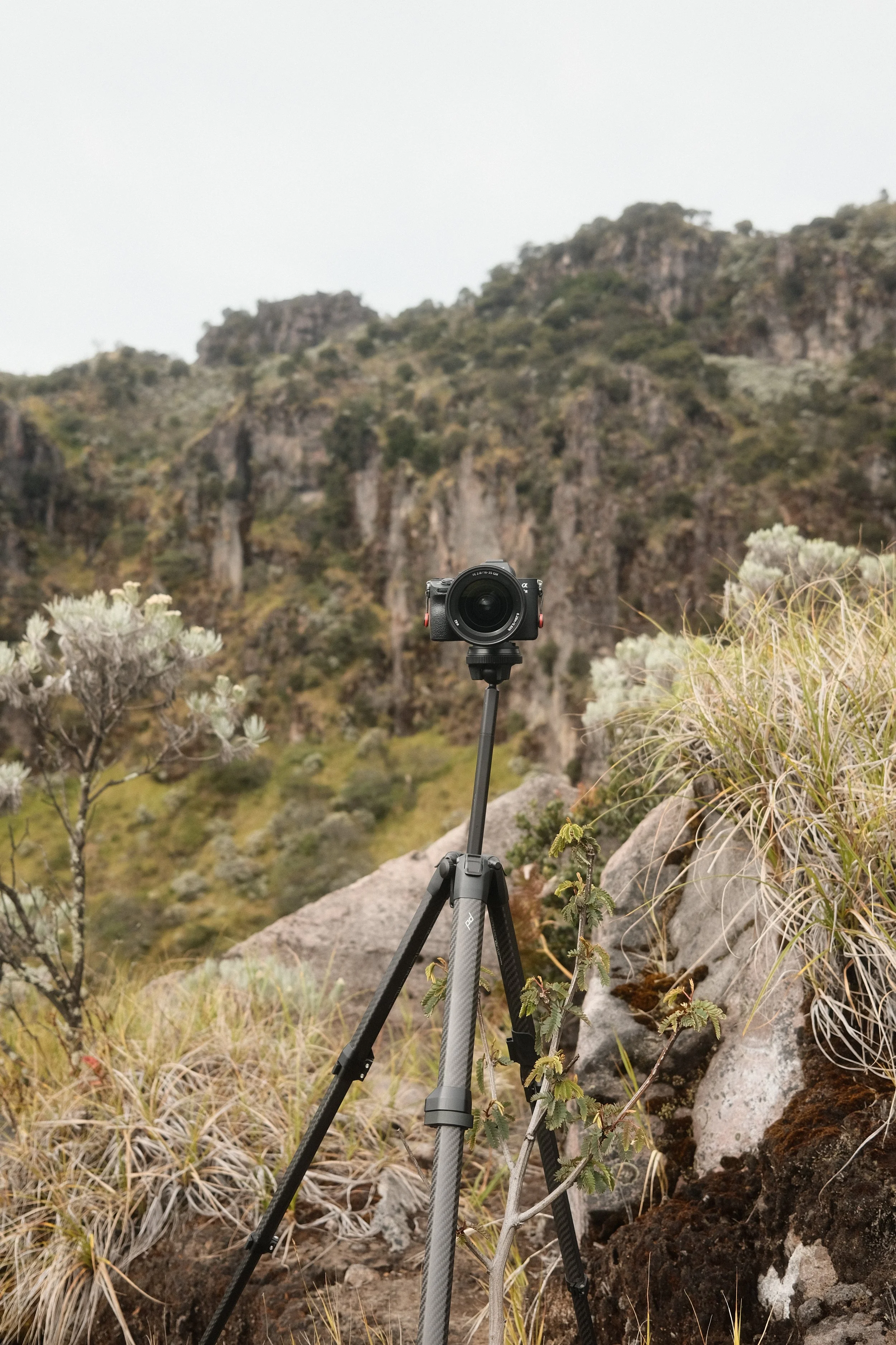 A camera mounted on a tripod set up on rough terrain among grass, rocks, and small shrubs with a mountain landscape in the background.
