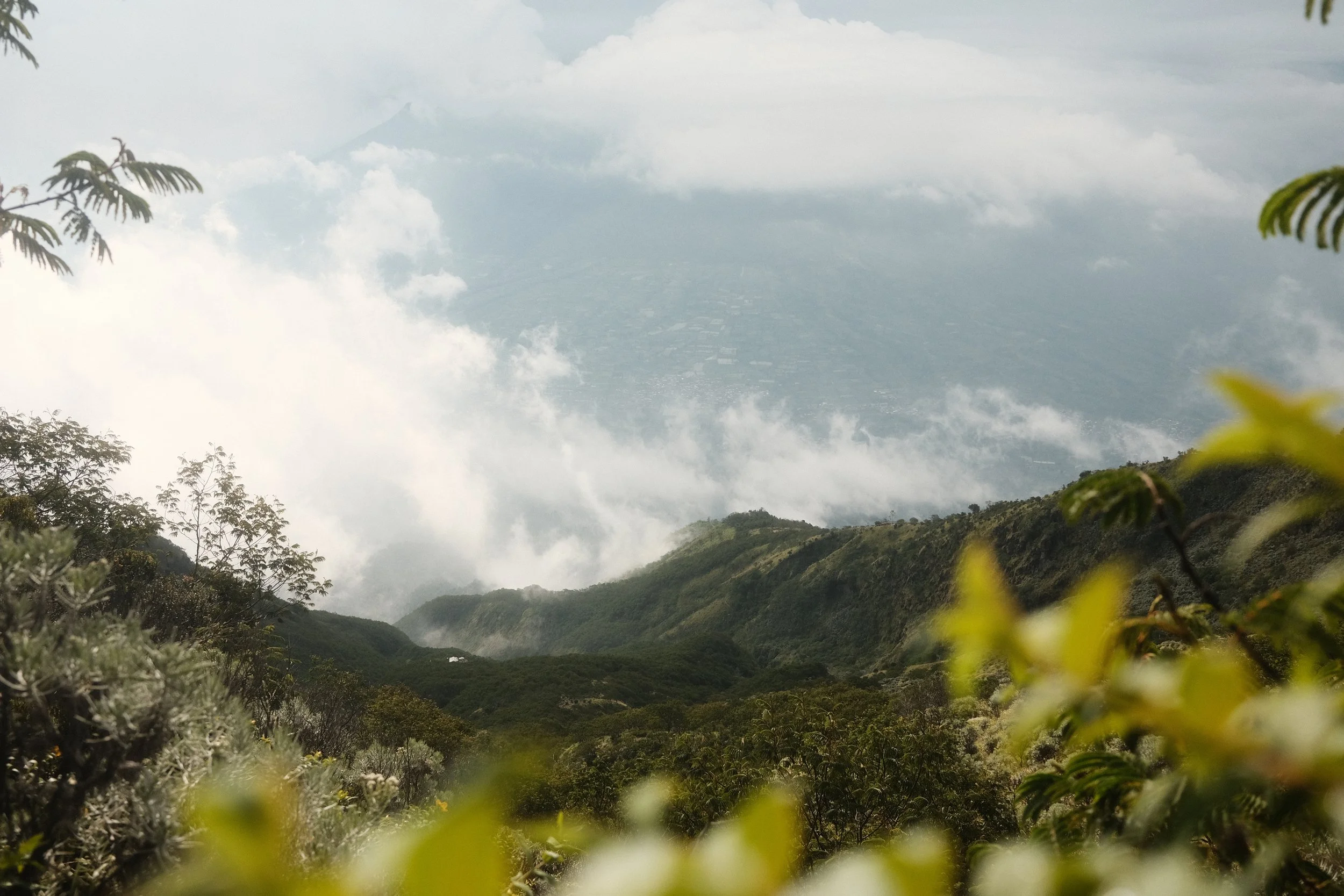 Cloud-covered mountains with lush green hills in the foreground and leaves framing the view.