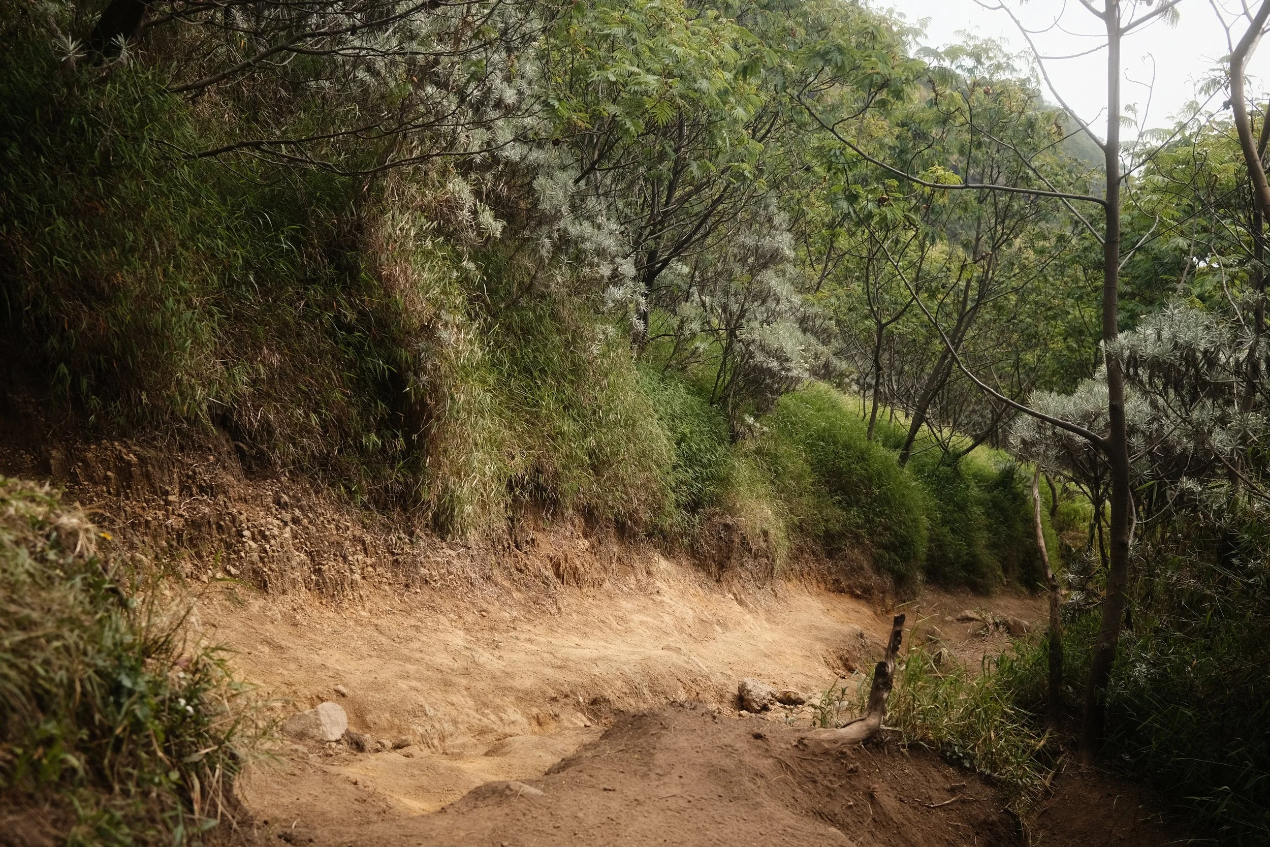 A dirt trail runs through a hillside covered with green vegetation and trees, under a cloudy sky.