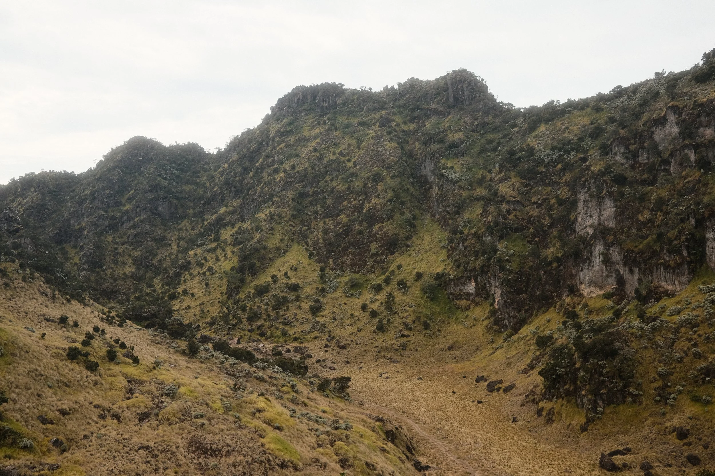 Mountain landscape with green and rocky slopes and sparse vegetation under an overcast sky.