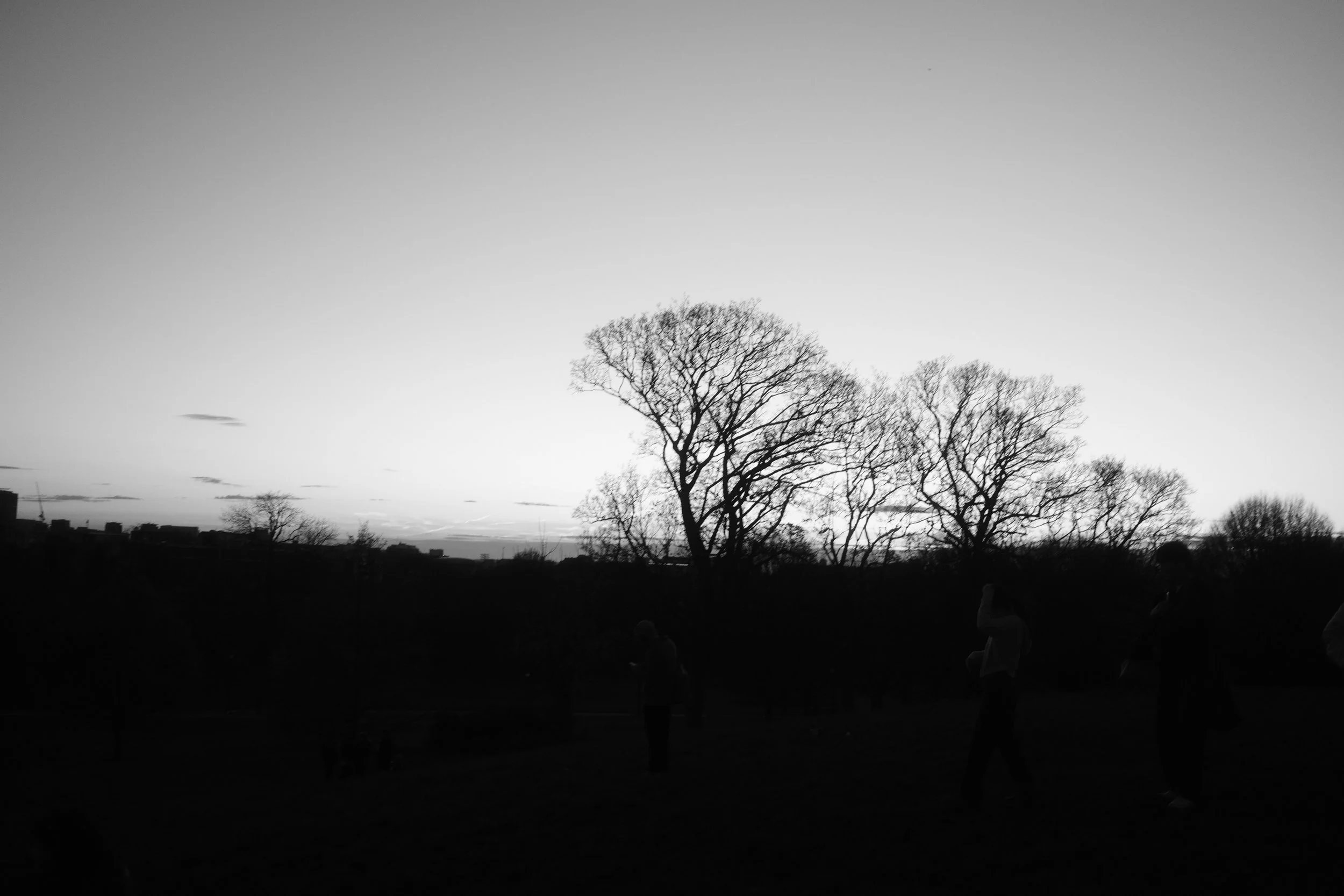 Black and white photograph of leafless trees against a clear sky with a few clouds and distant cityscape
