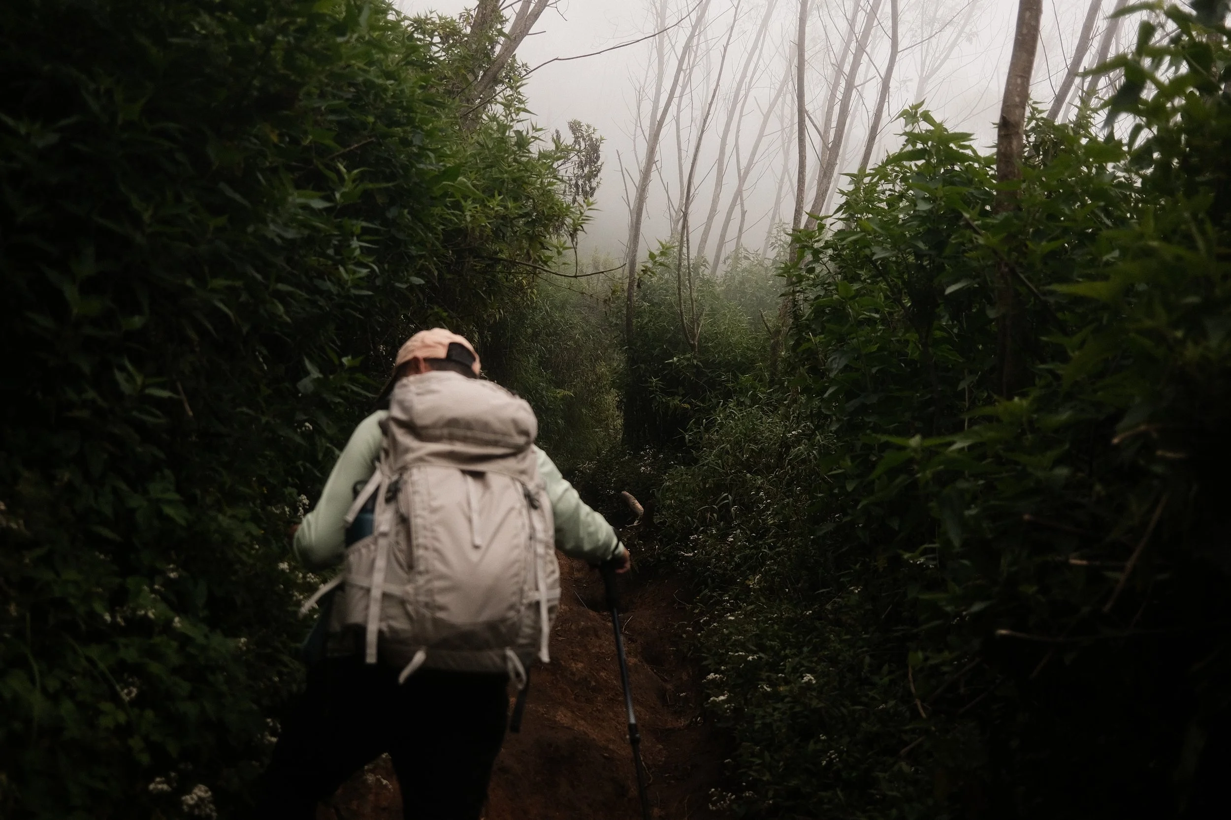 A person wearing a hat and backpack hiking on a narrow trail through a foggy forest with tall, leafless trees and dense green bushes on the sides.