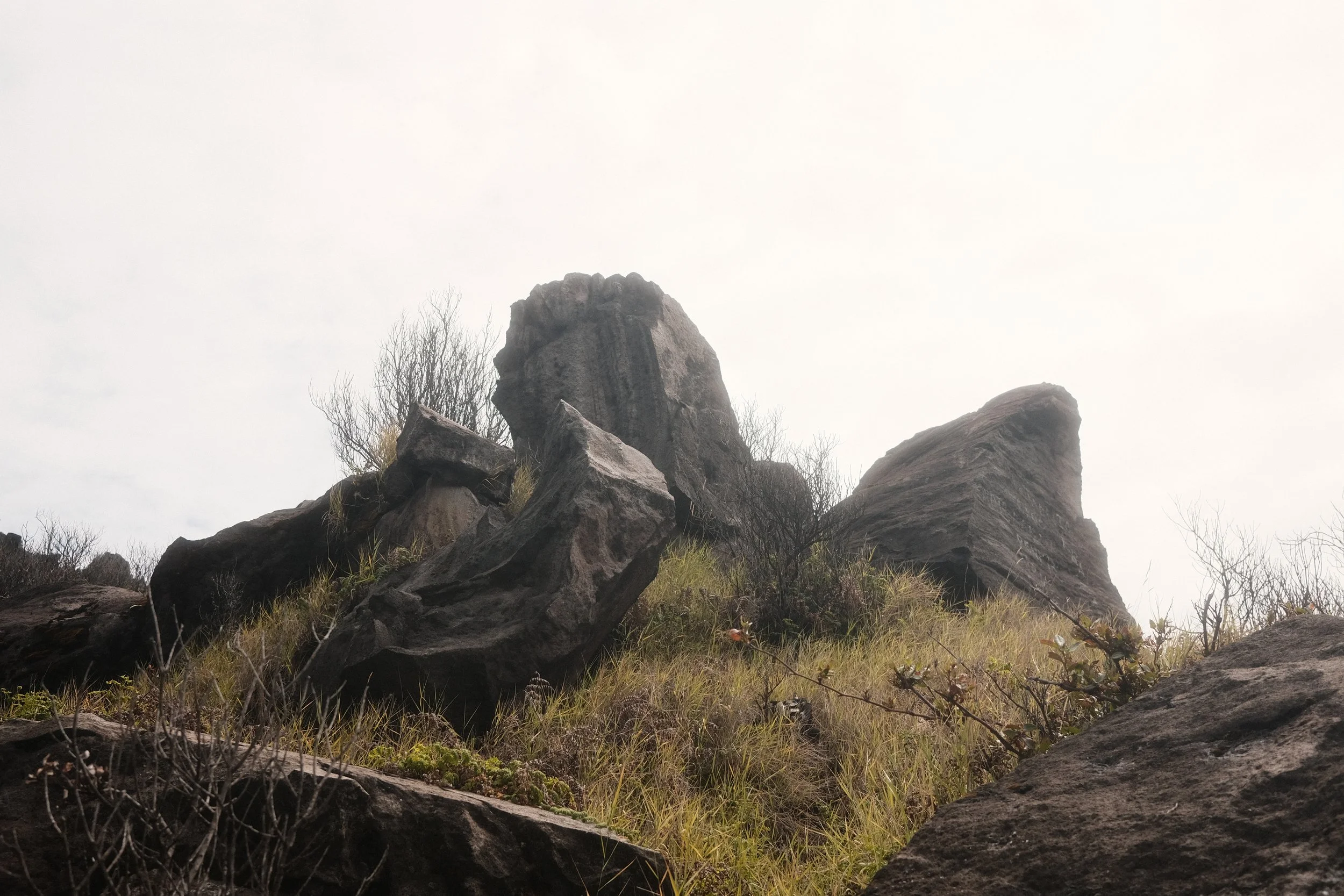 Large rocks and boulders on a grassy hillside with leafless trees under a cloudy sky.