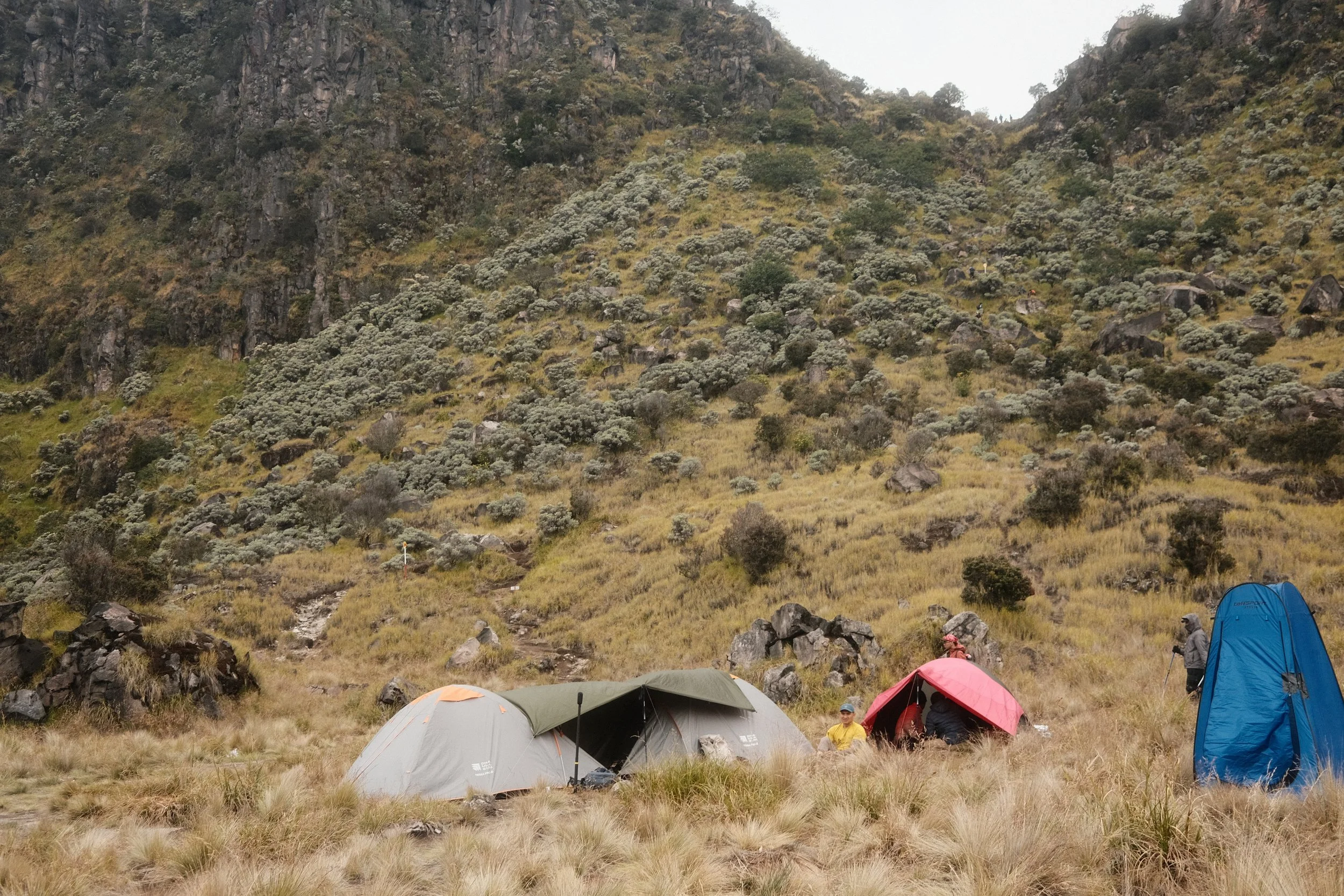 Tents set up on a grassy field at a campsite in a mountainous area with rocky cliffs and sparse trees in the background. Some people are visible near the tents, and the sky is overcast.