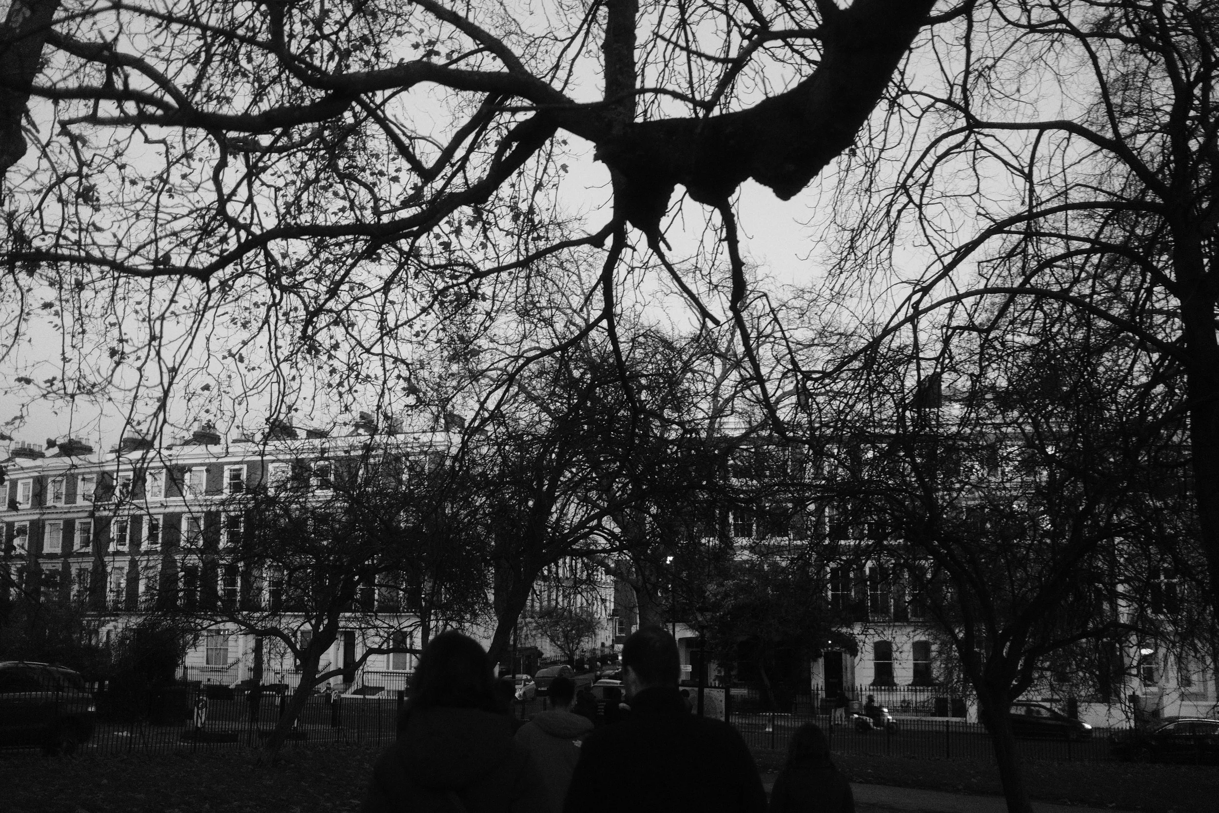 A black and white photo of leafless trees with buildings in the background and a few people standing in the foreground.