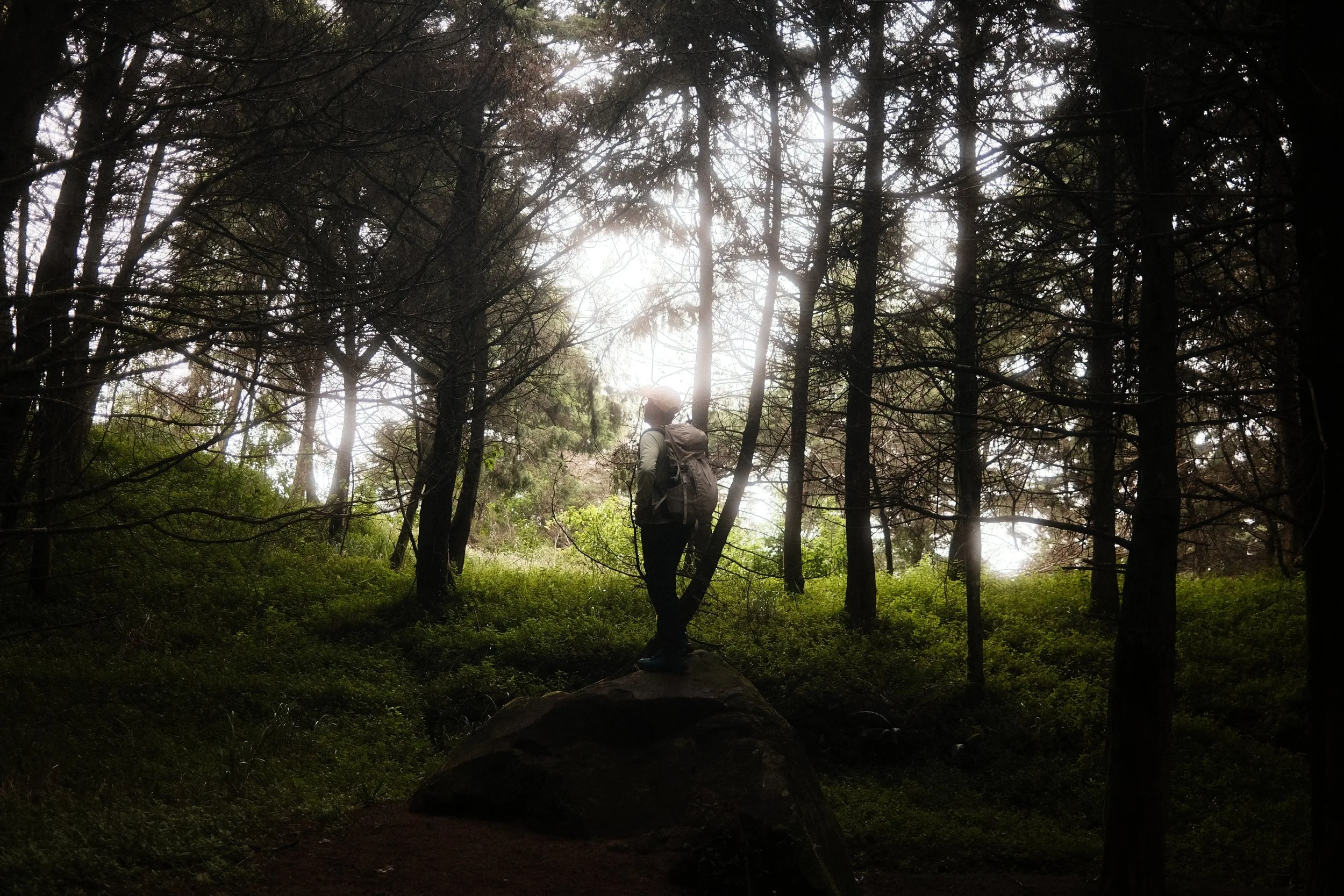 Person with a backpack walking in a wooded forest during daytime, sunlight filtering through the trees.