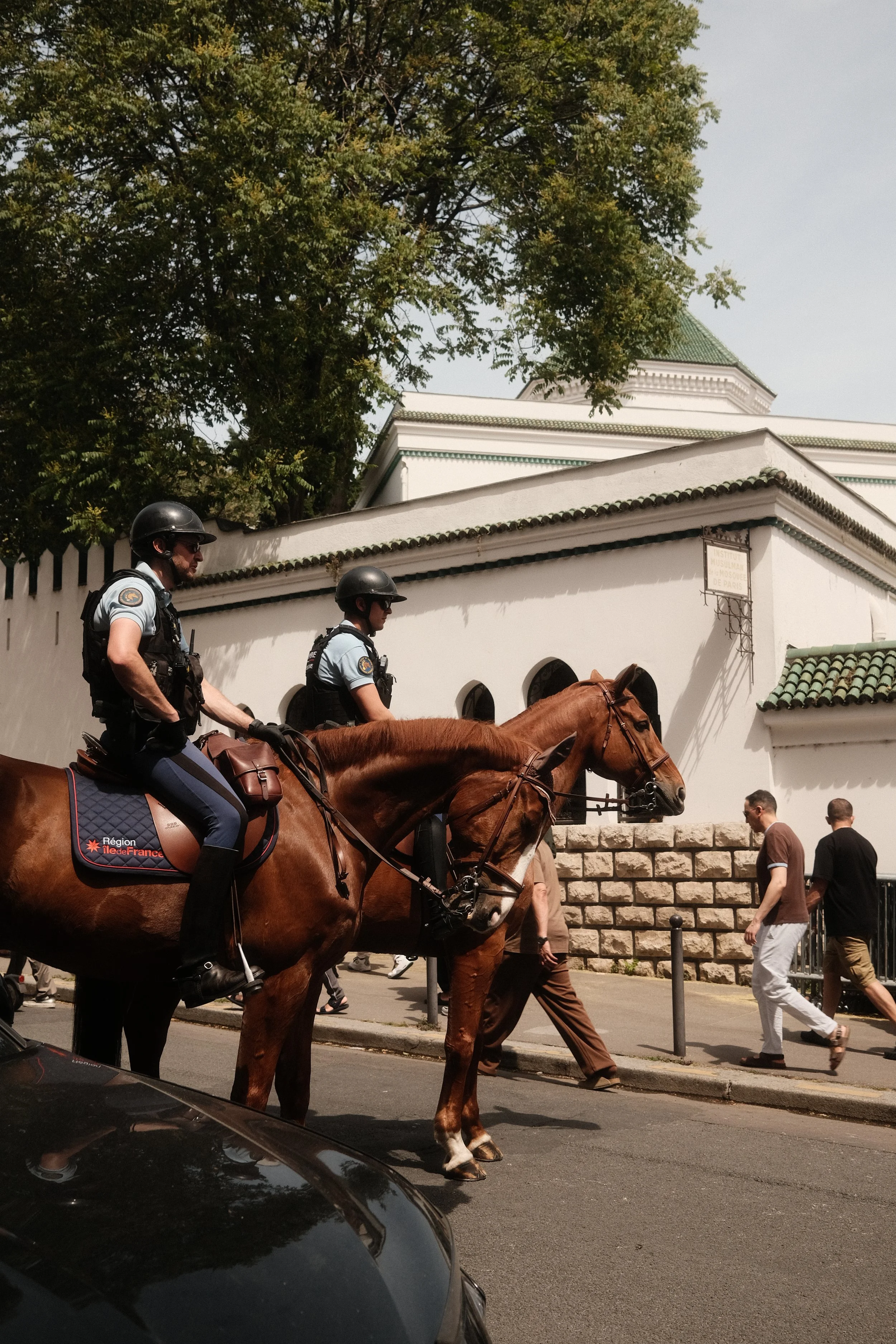 Two police officers riding horses on a city street, with people walking by and a white building with green roof in the background.