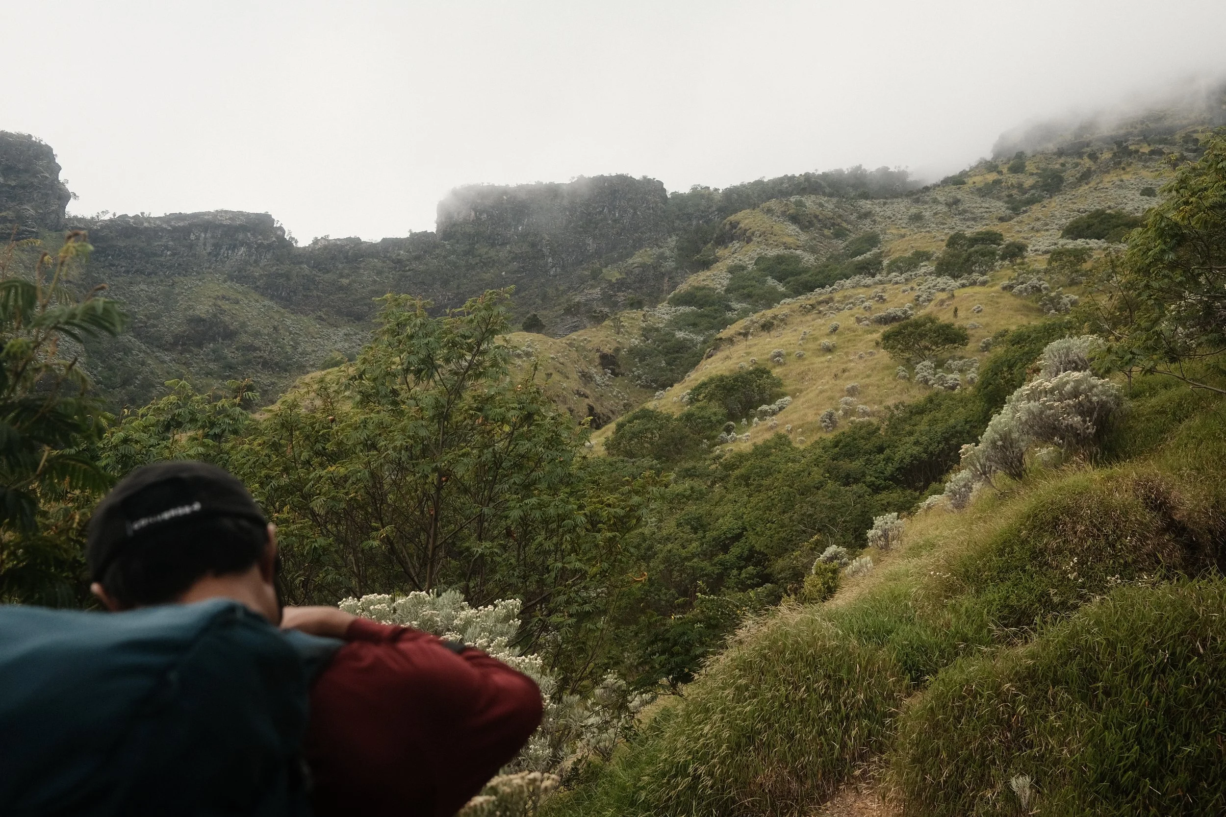 A misty mountain landscape with green hills, trees, and rocky outcroppings, partially obscured by clouds or fog, with a person in the foreground wearing a hat and jacket.