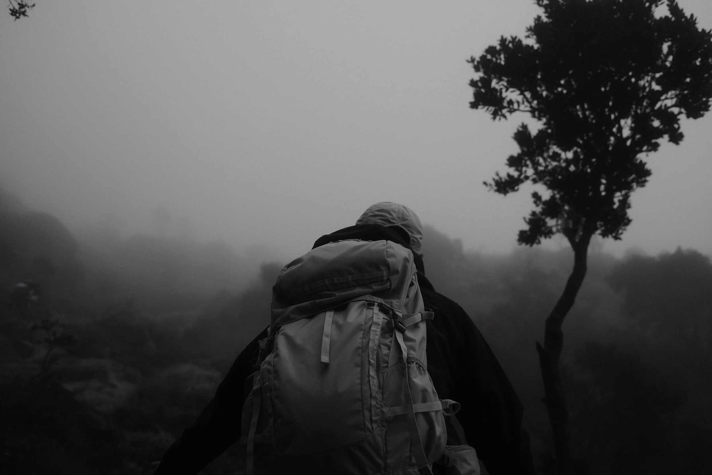 A person wearing a hooded jacket and a large backpack walking outdoors on a foggy day with a tree in the background.